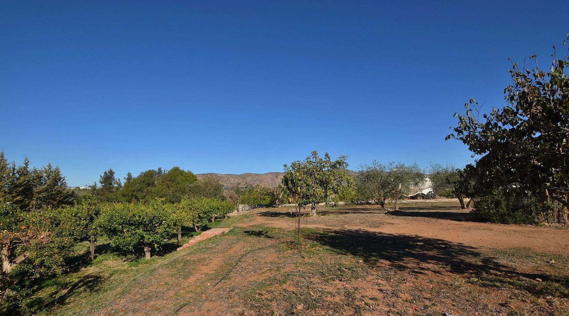 casa en Alhaurín de la Torre, Andalusia 12404214