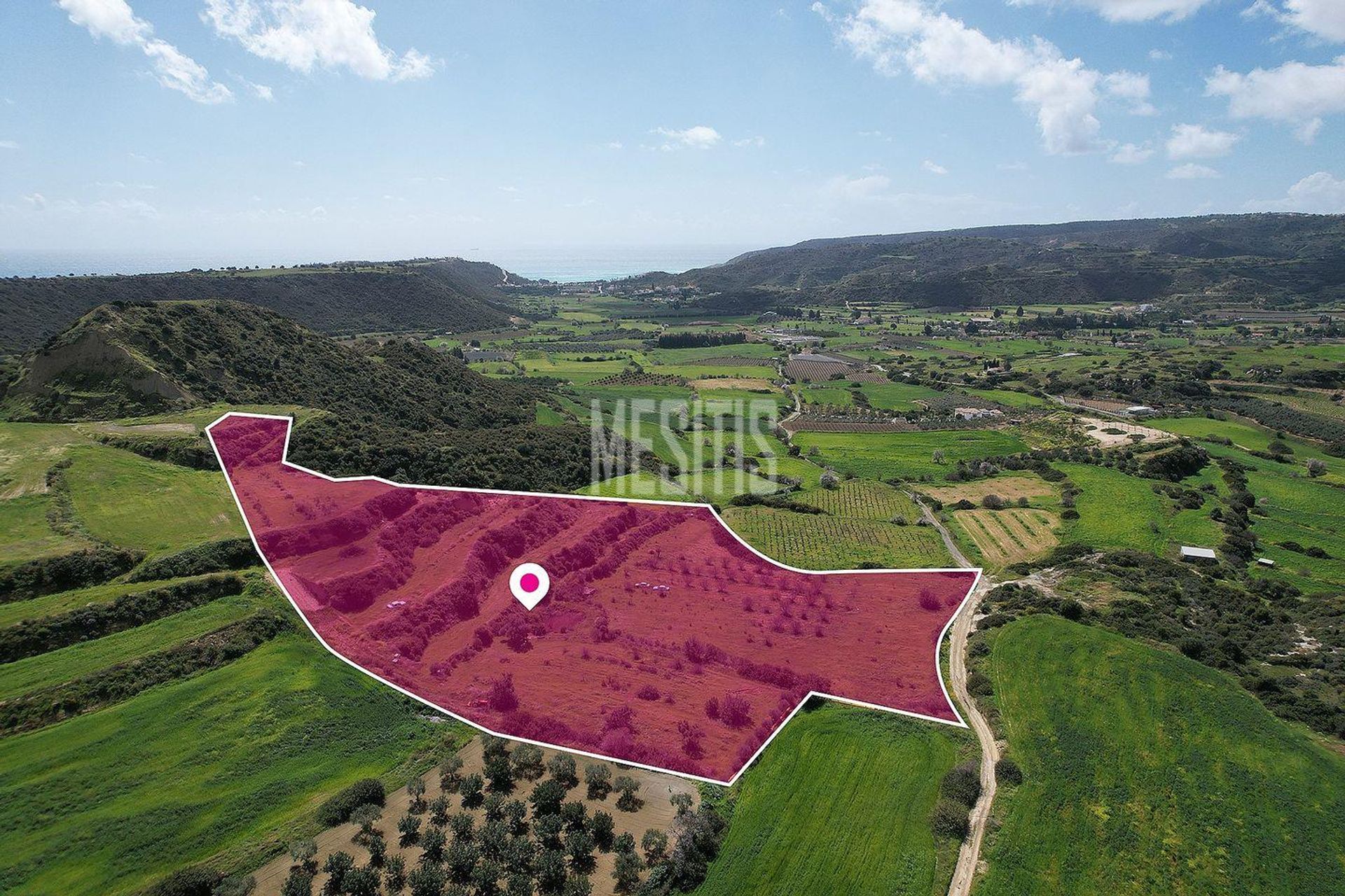 Land i Pissouri, Limassol 12405181