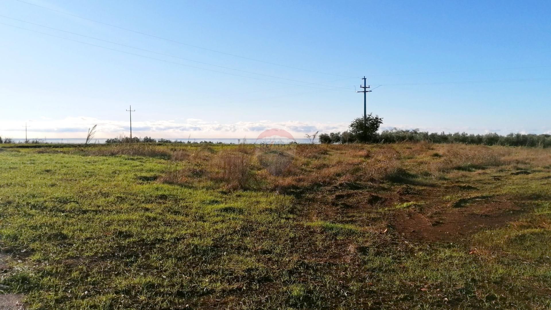 Land in Kastelir, Istarska Zupanija 12405630