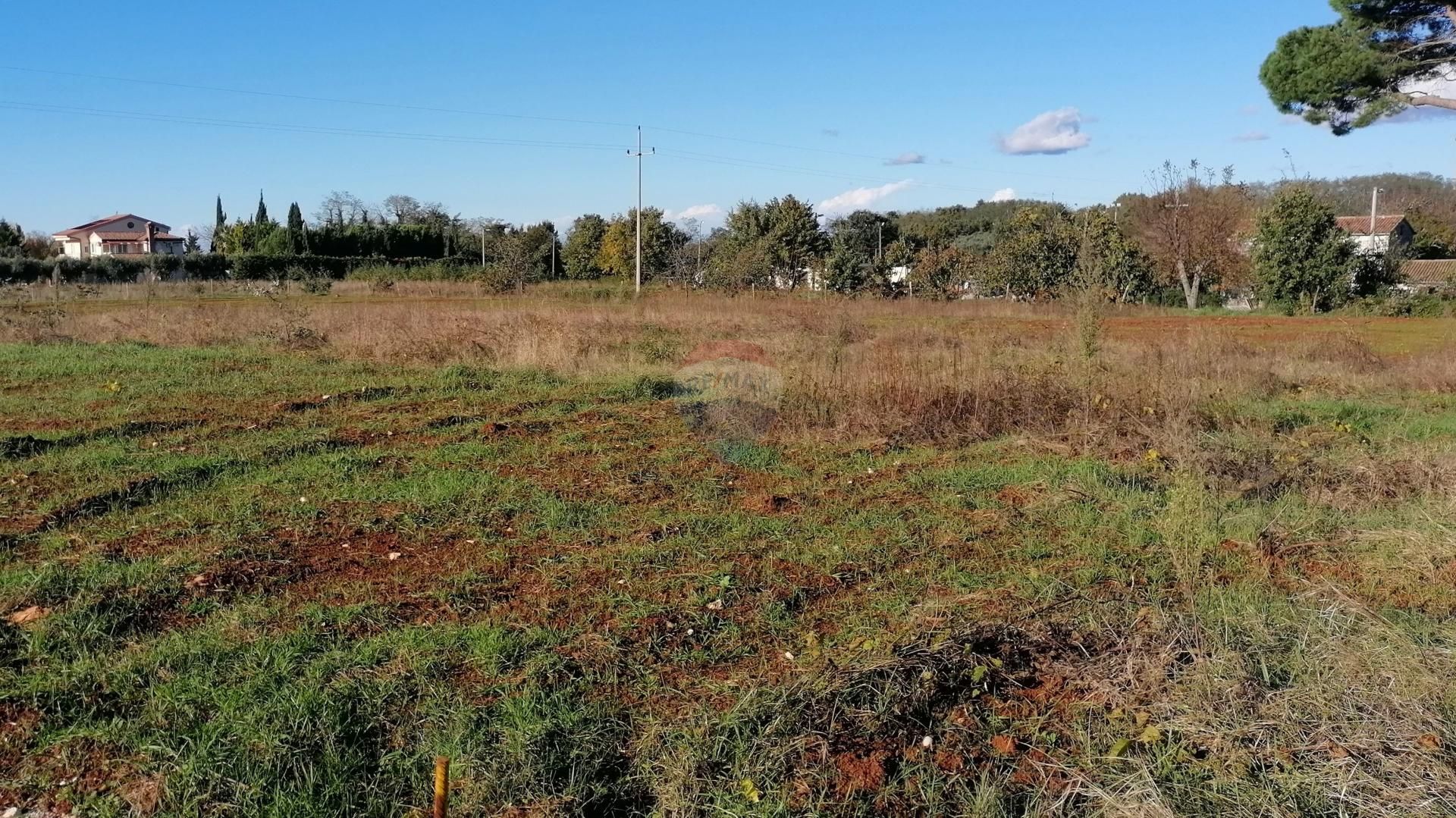 Land in Kastelir, Istarska Zupanija 12405630