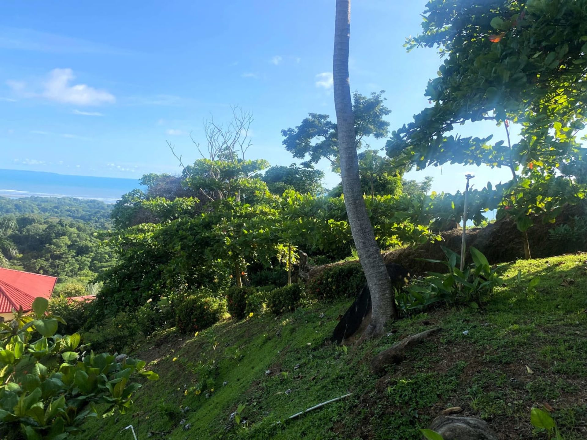 casa no Ojochal, Provincia de Puntarenas 12406060