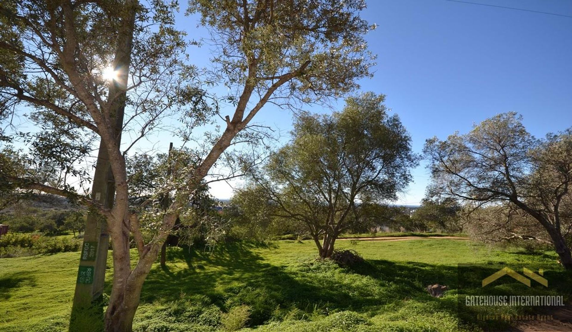 Land in Loulé, Faro District 12406919