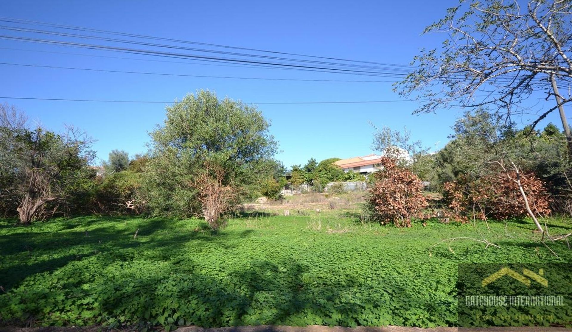 Land in Laranjeira, Faro 12406919