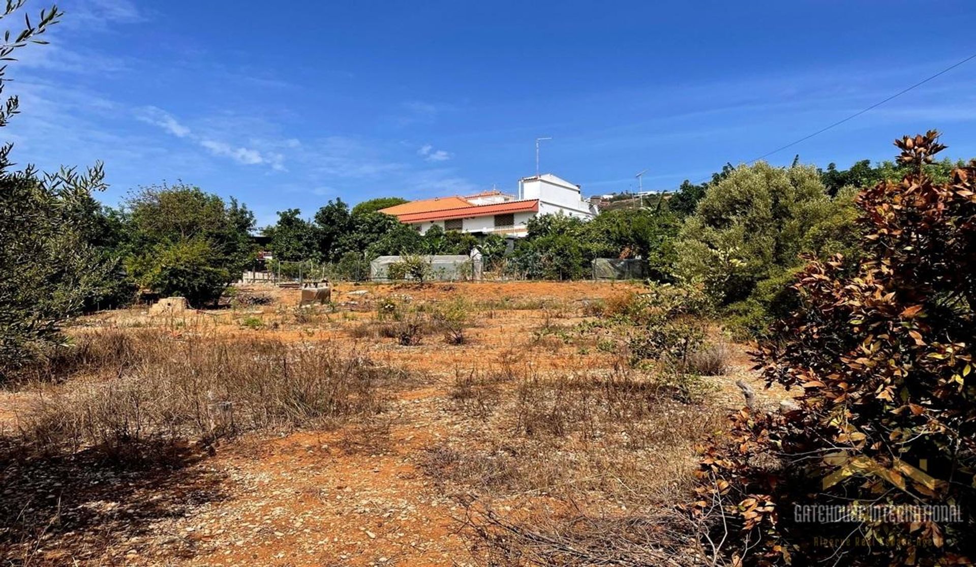 Land in Laranjeira, Faro 12406919