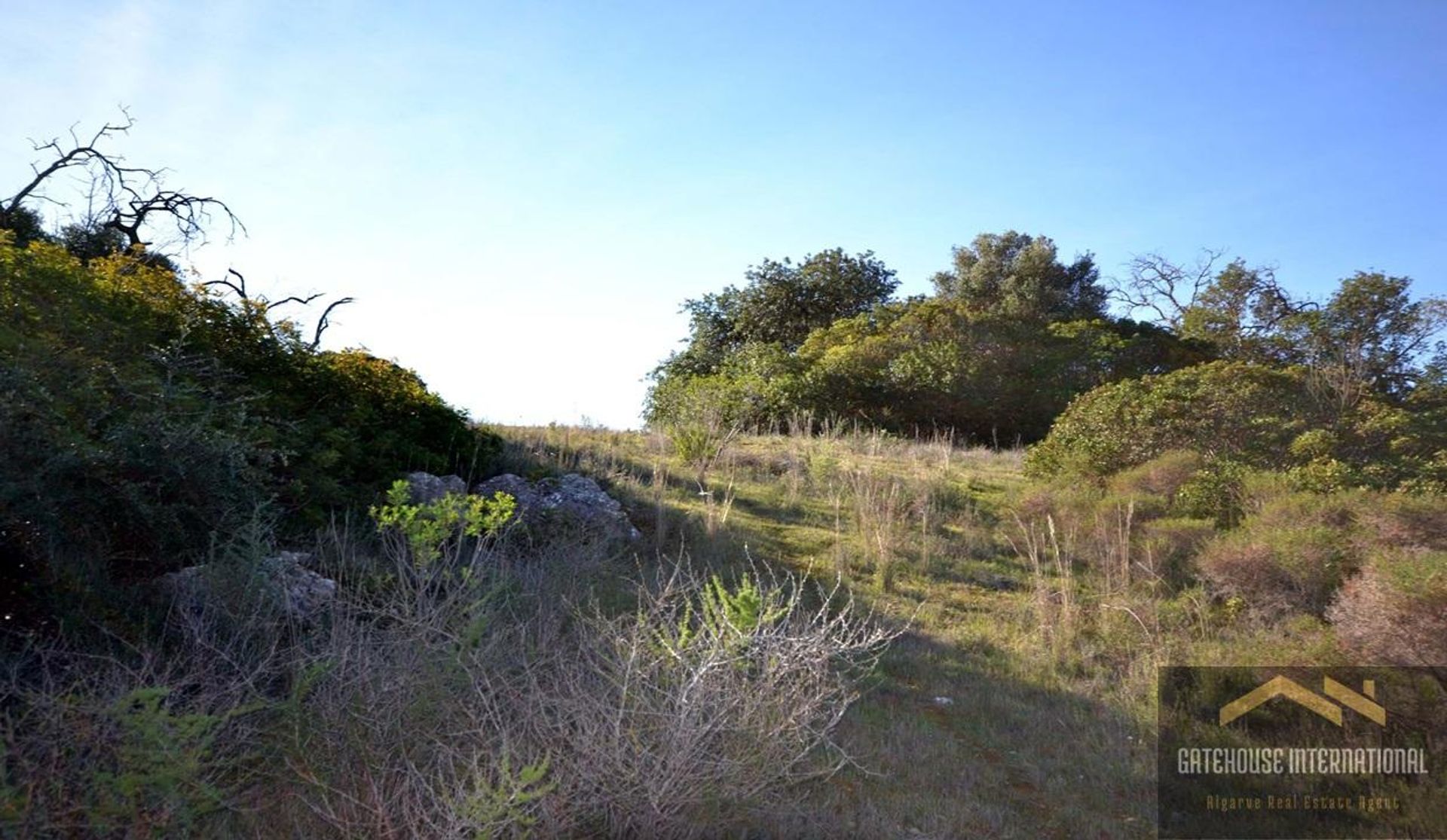 土地 在 Boliqueime, Faro 12406923