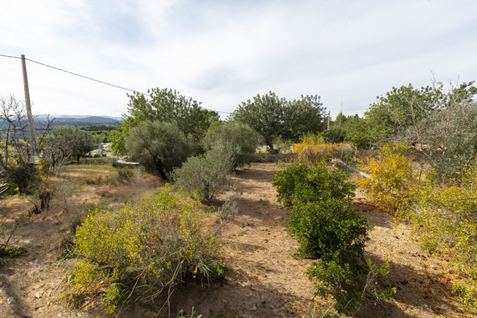 Yang lain dalam Turís, Valencian Community 12407000