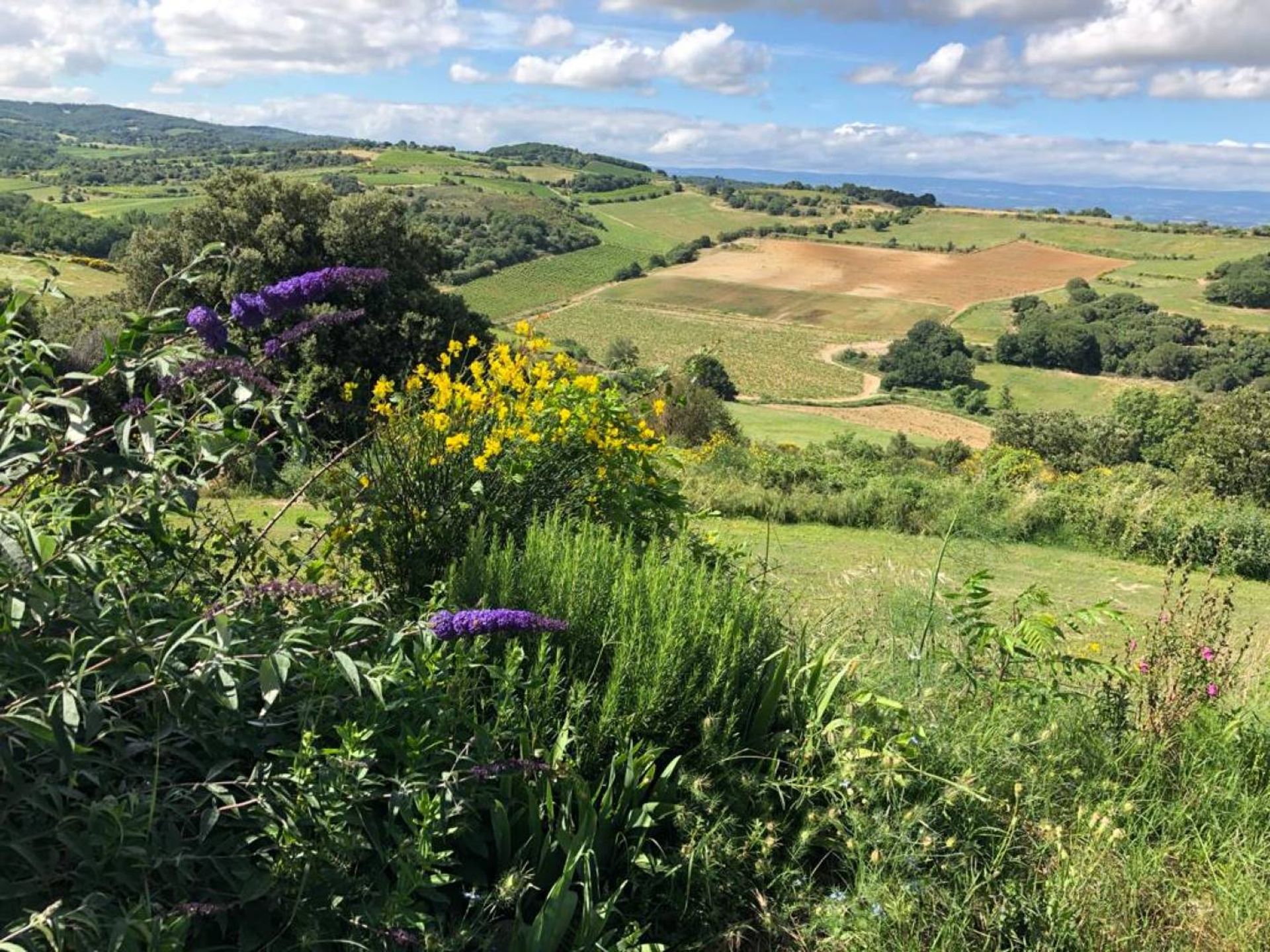 Talo sisään Carcassonne, Occitanie 12407074