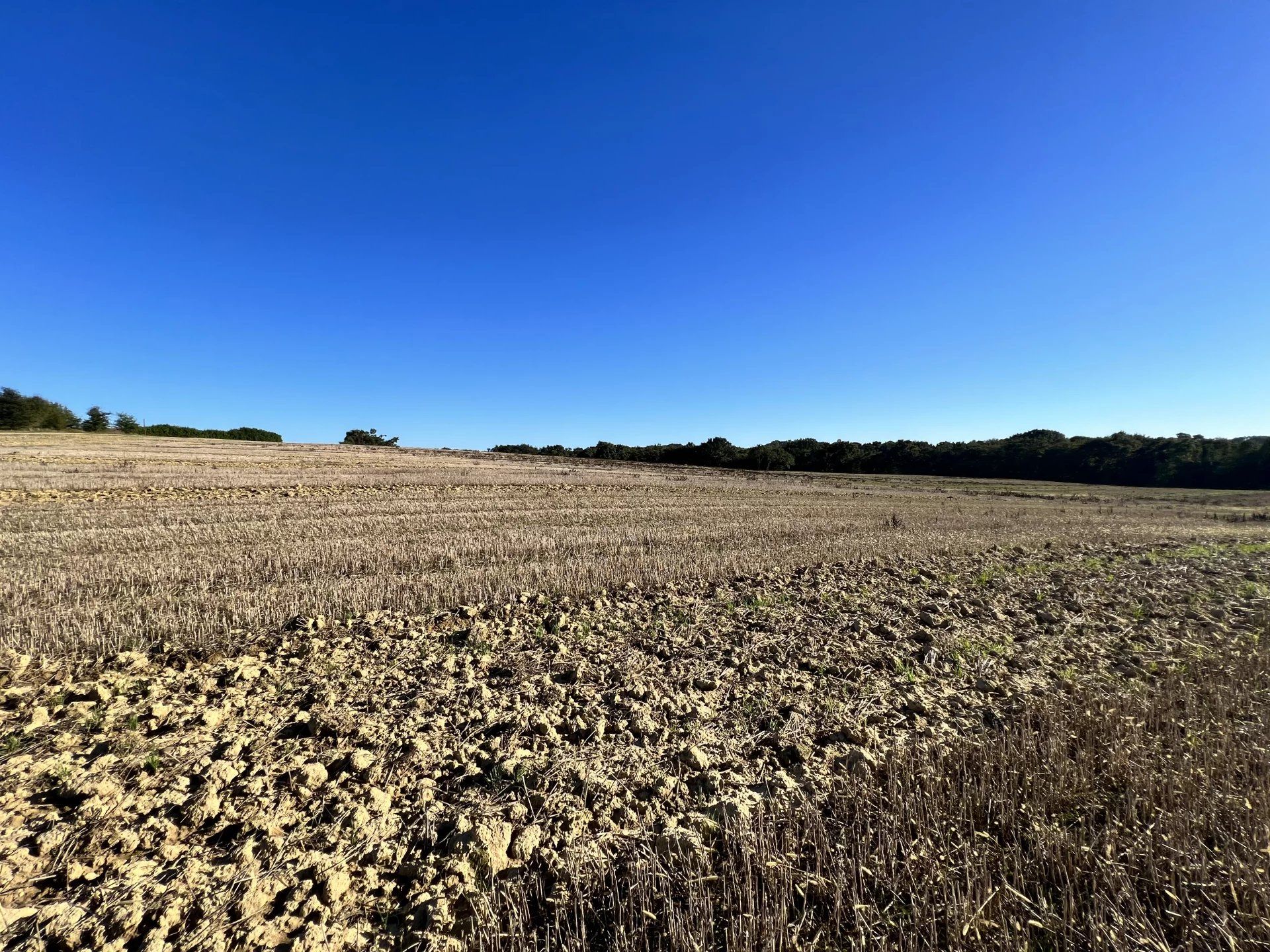 Terre dans Loubedat, Occitanie 12407556