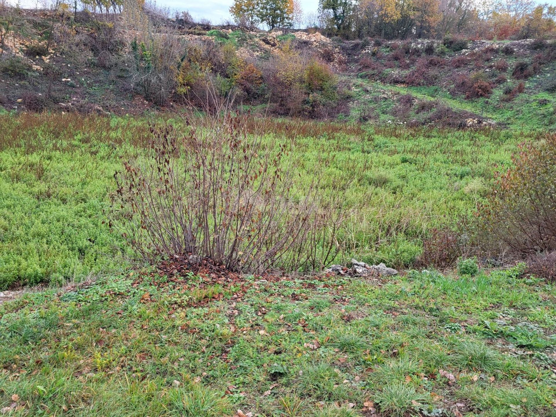 Land in Kanfanar, Istarska Zupanija 12408248