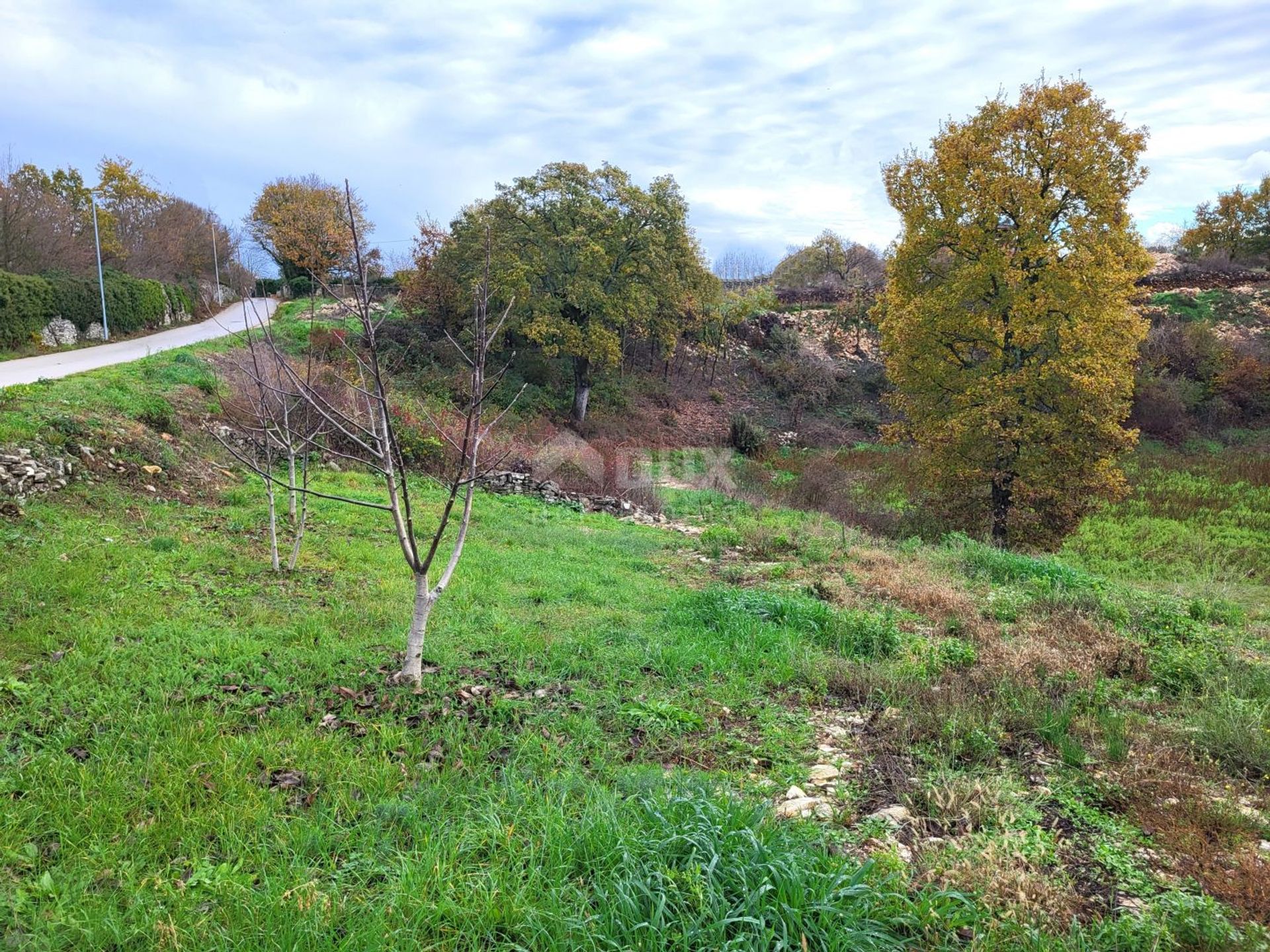 Land in Kanfanar, Istarska Zupanija 12408248