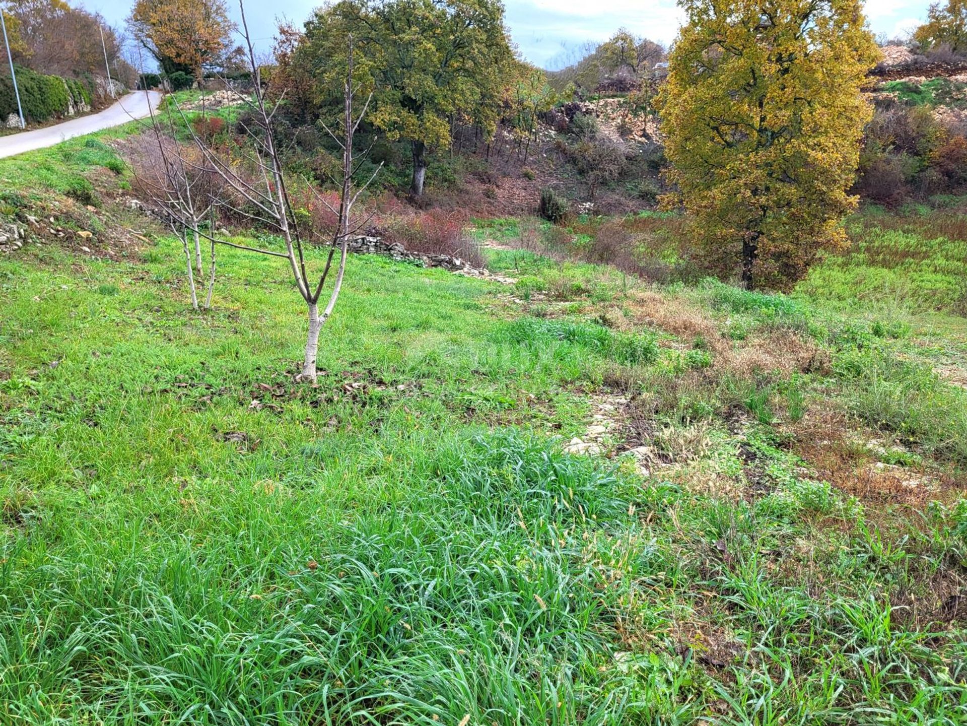 Land in Kanfanar, Istarska Zupanija 12408248