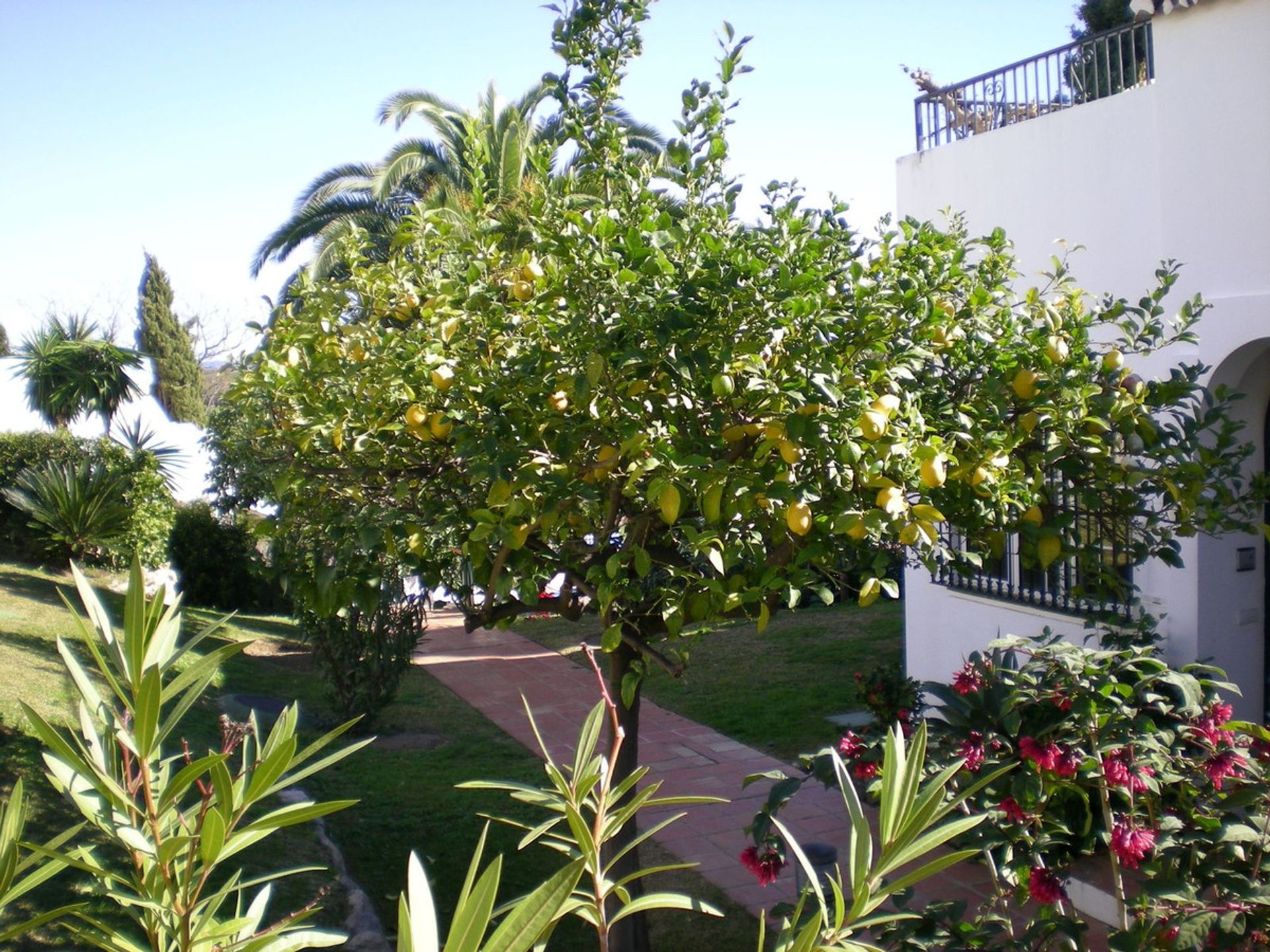 Huis in Marbella, Andalucía 12409389