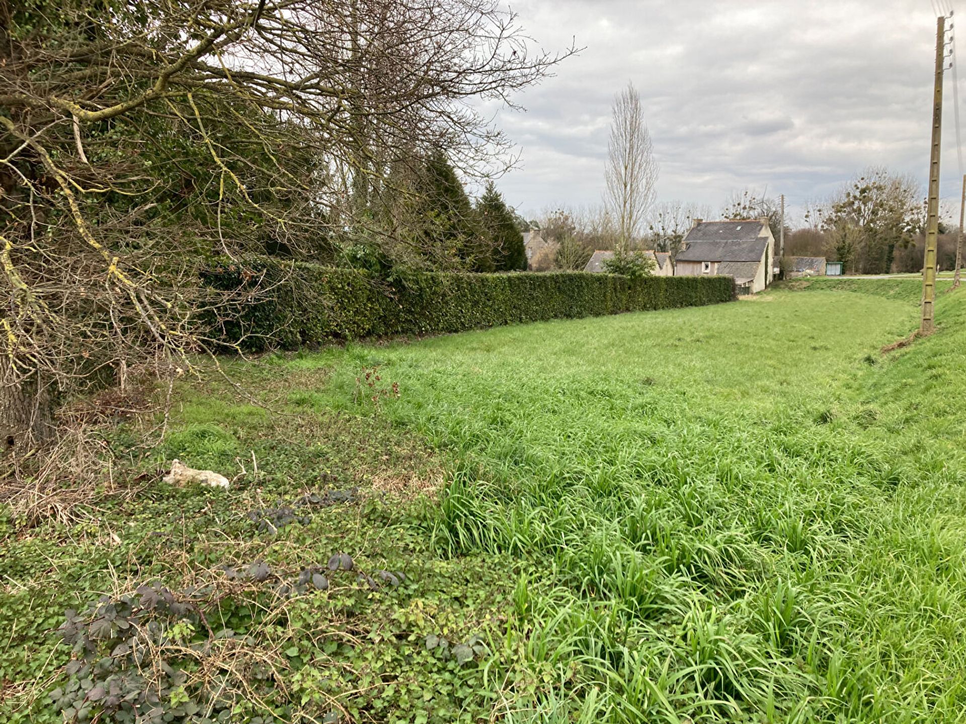 Land in Broons, Bretagne 12409457