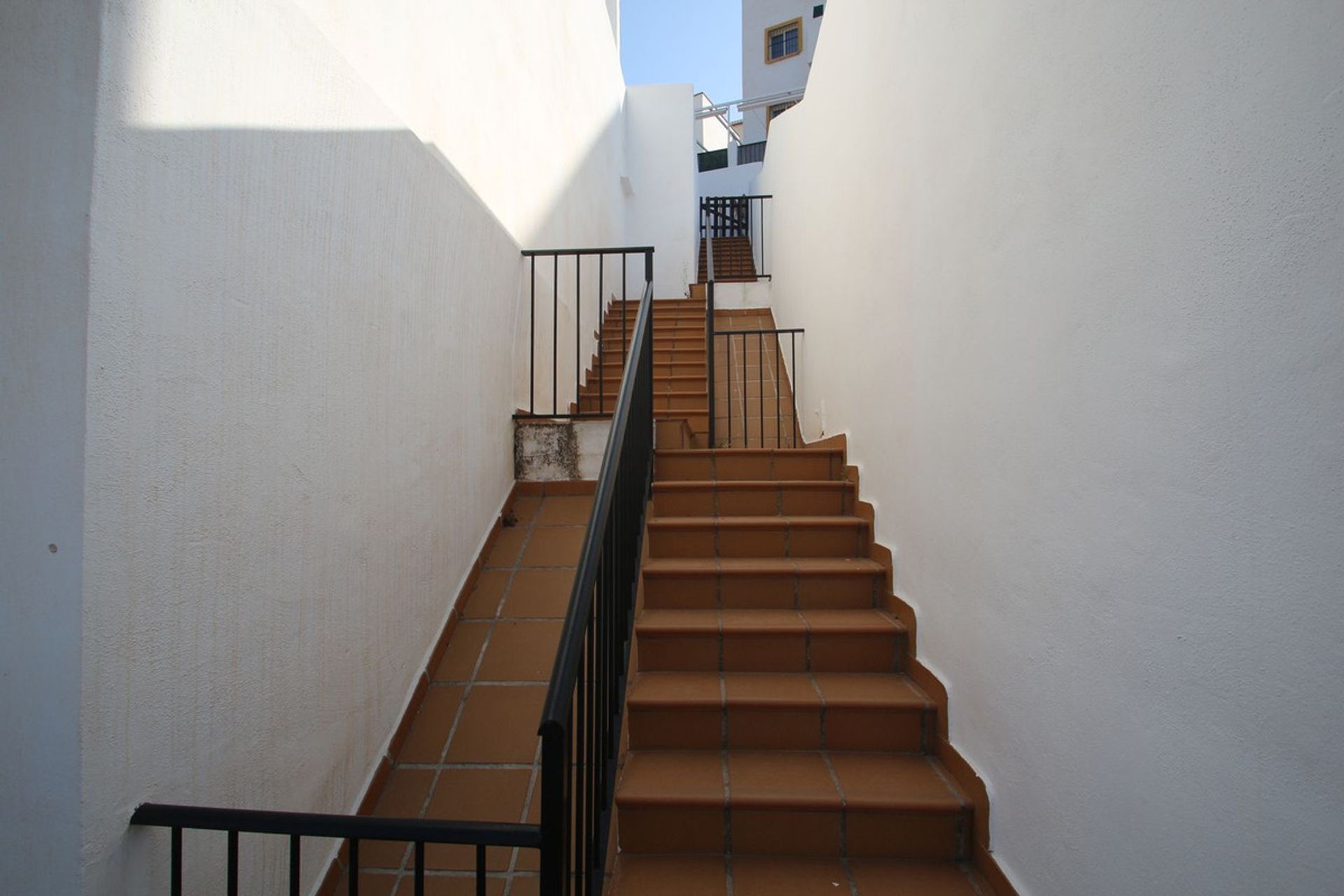 Hus i Torreblanca, Valencian Community 12409548