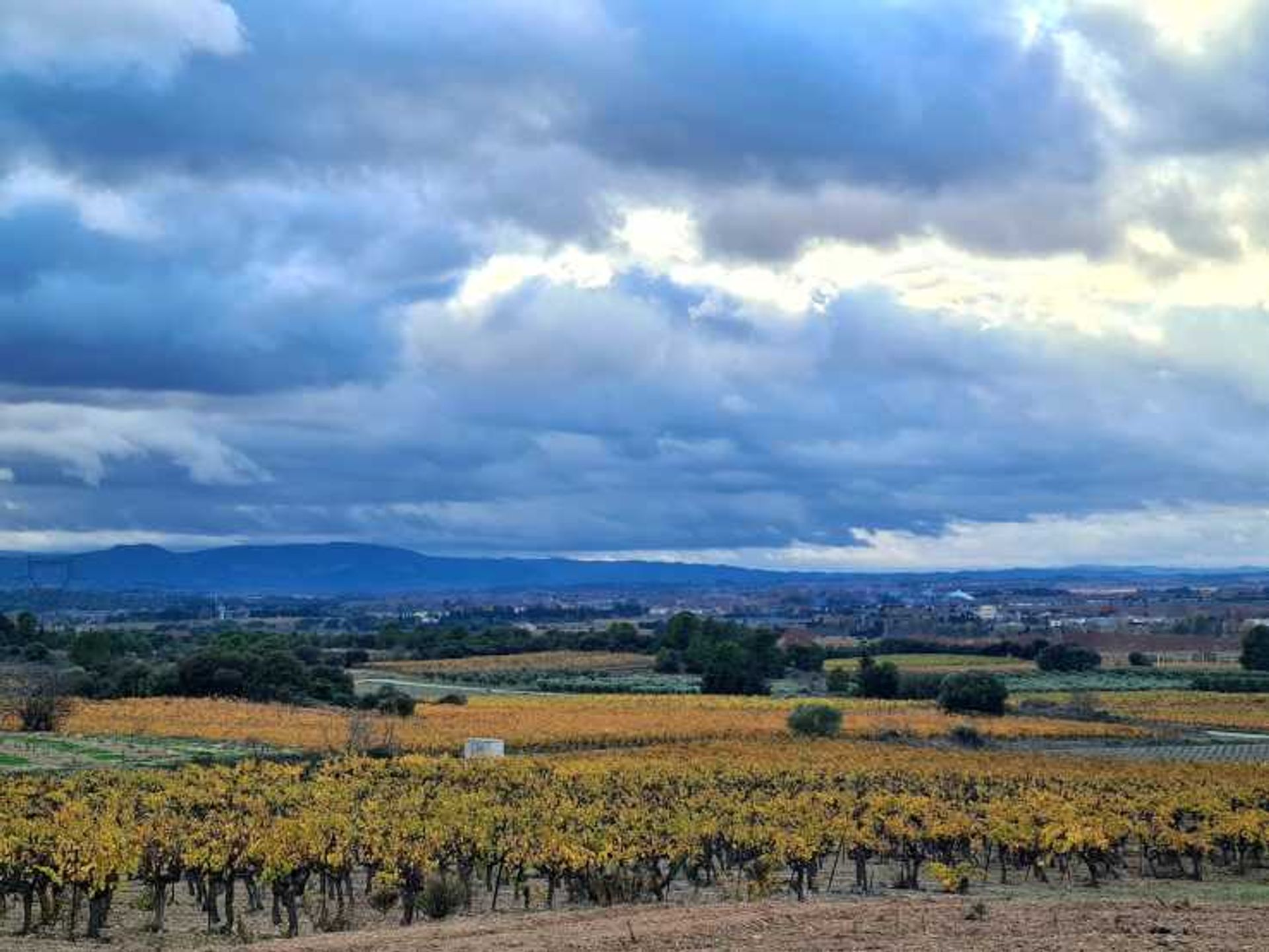 Будинок в Olonzac, Occitanie 12410034