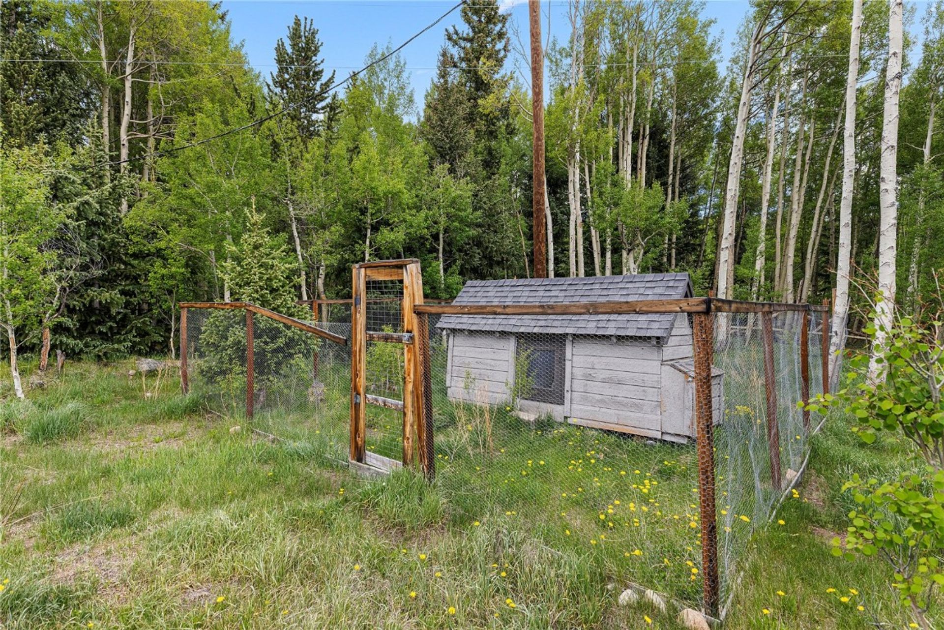 Rumah di Alma, Colorado 12410038