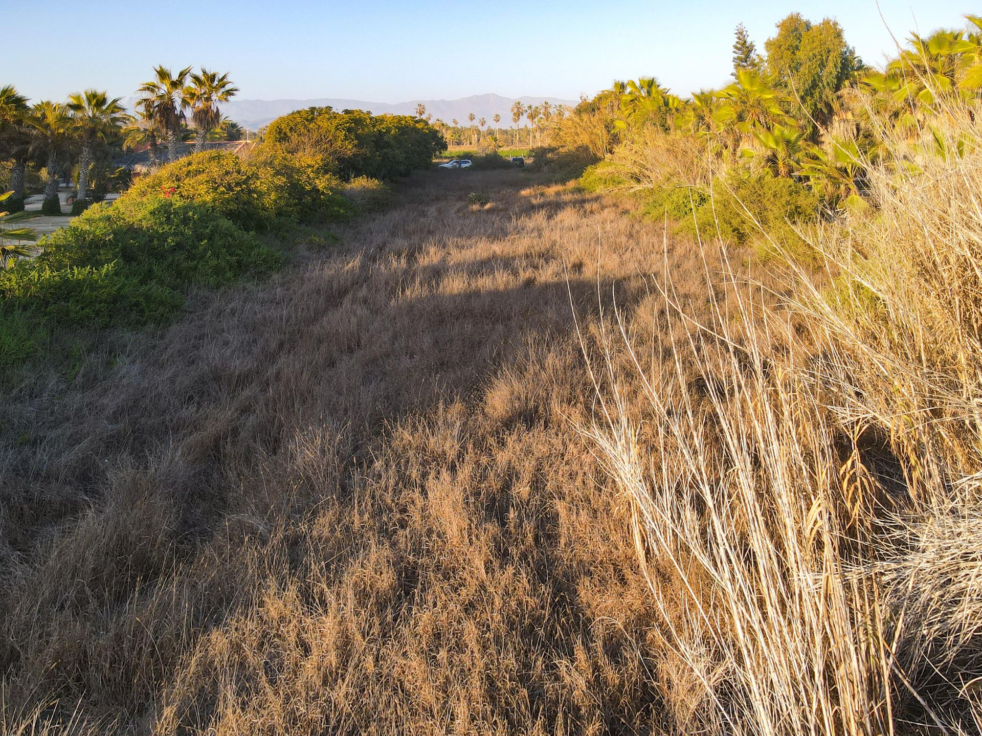 ארץ ב Hanga Roa, ולפראיסו 12410317