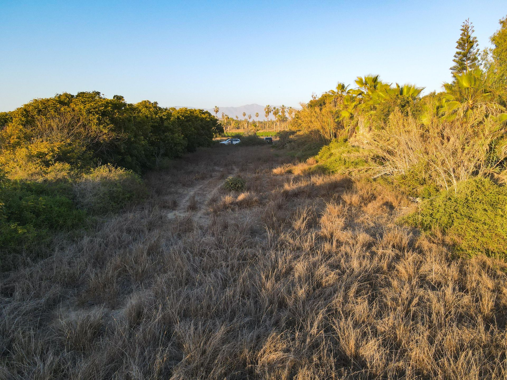 ארץ ב Hanga Roa, ולפראיסו 12410317