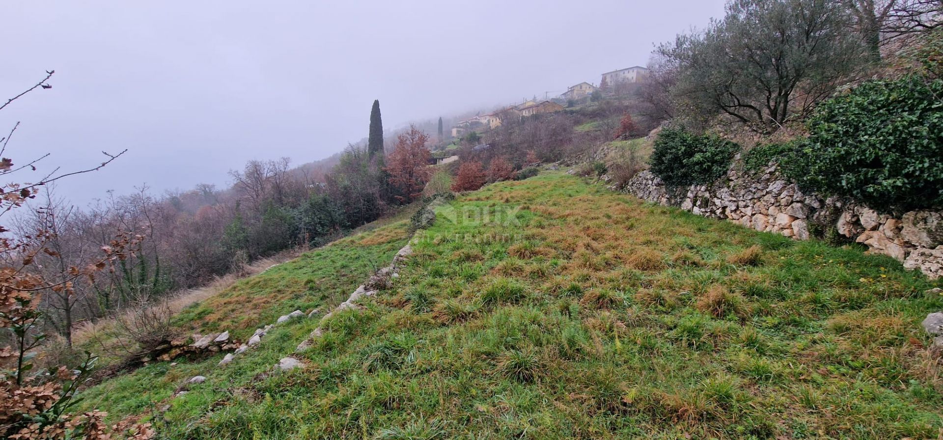 Tierra en Tulisevica, Primorsko-Goranska Zupanija 12410353