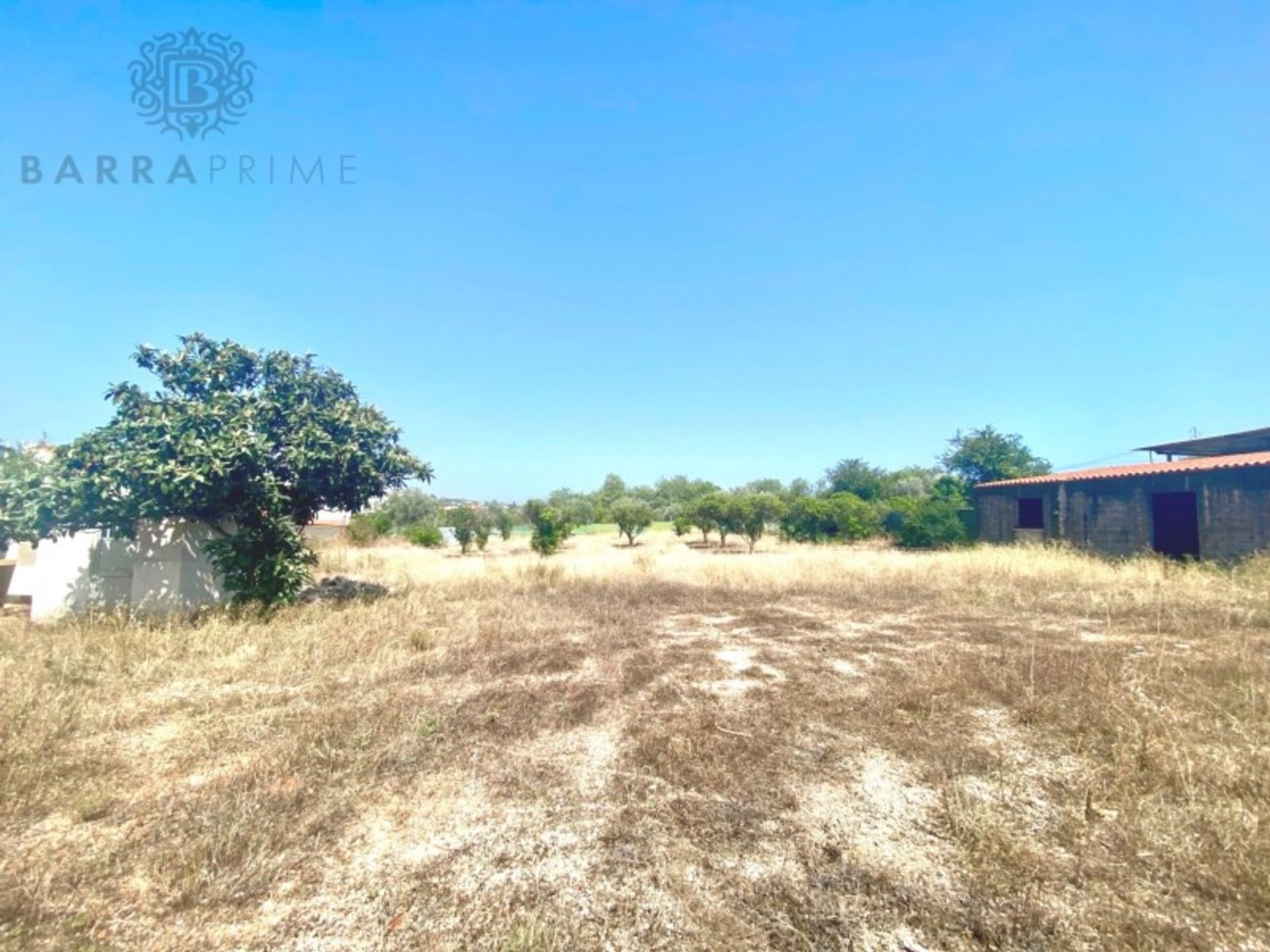 Land in Boliqueime, Faro 12410668