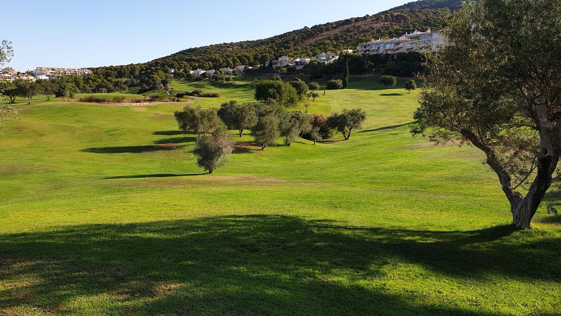 Кондоминиум в Alhaurín el Grande, Andalusia 12412152