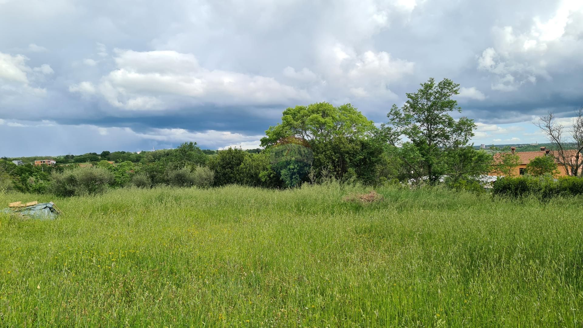 Tanah dalam Kaštelir, Istarska županija 12413710