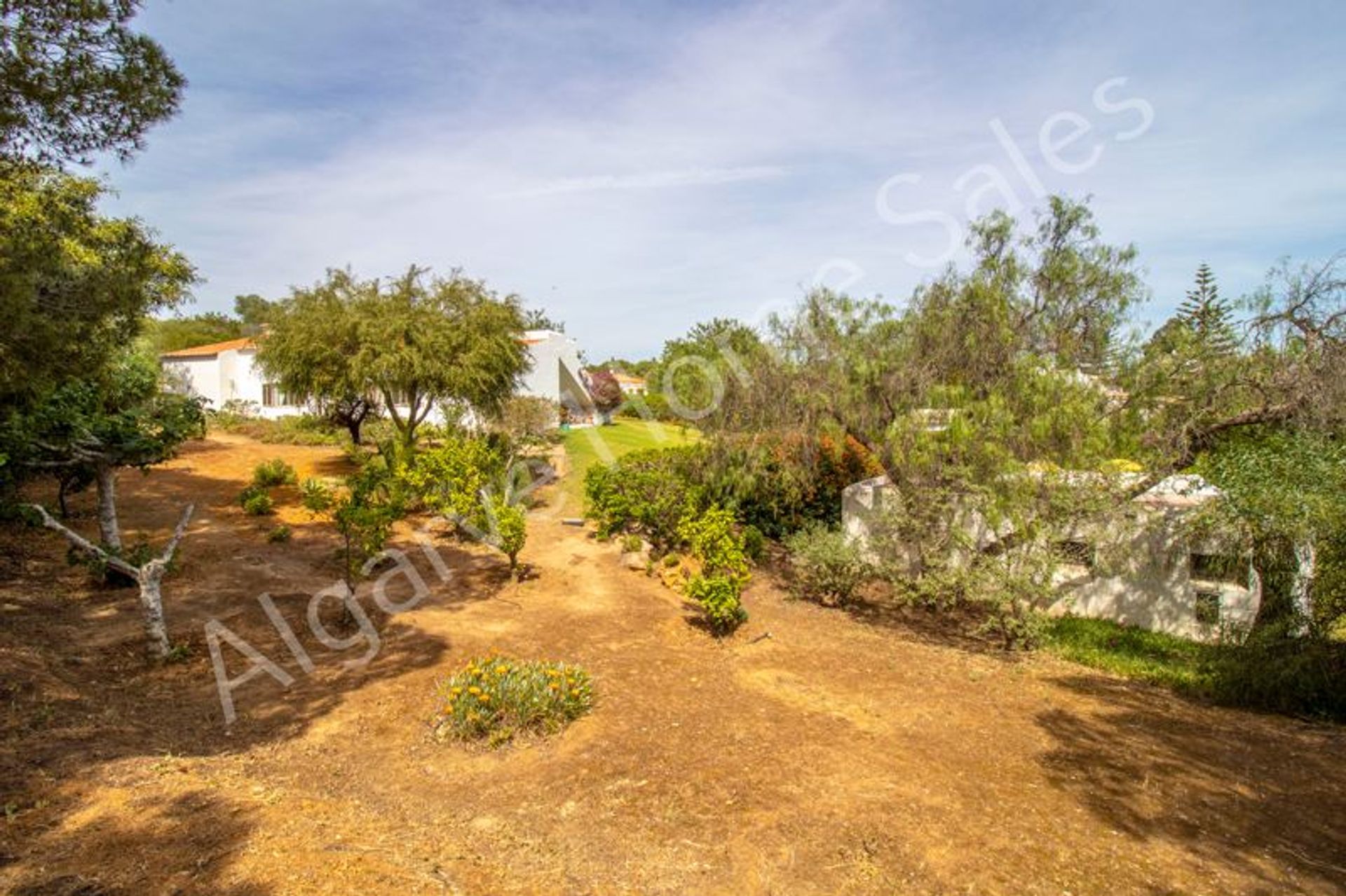 Land im Lagoa, Faro 12414430