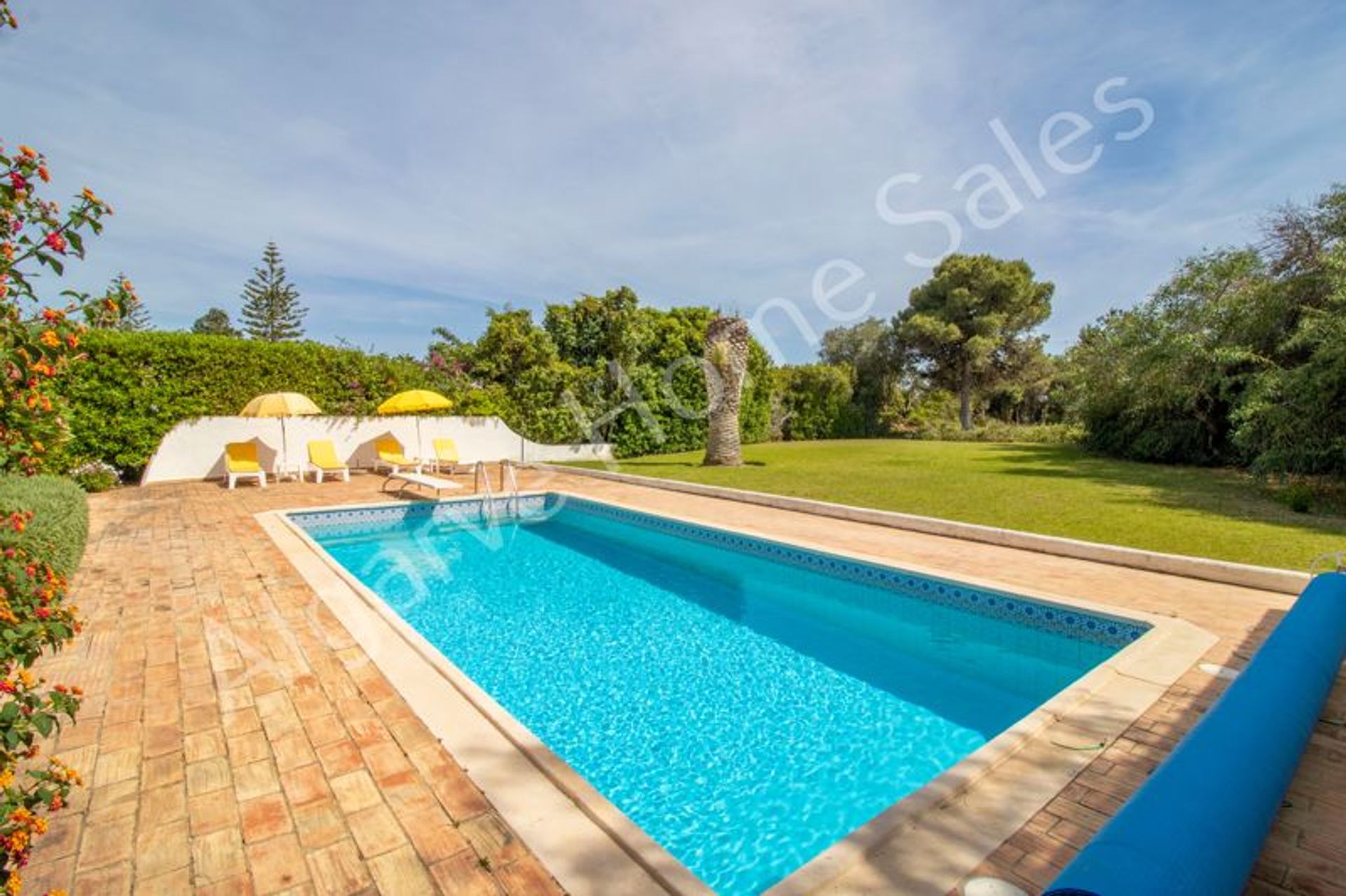 Land in Lagoa, Faro 12414430