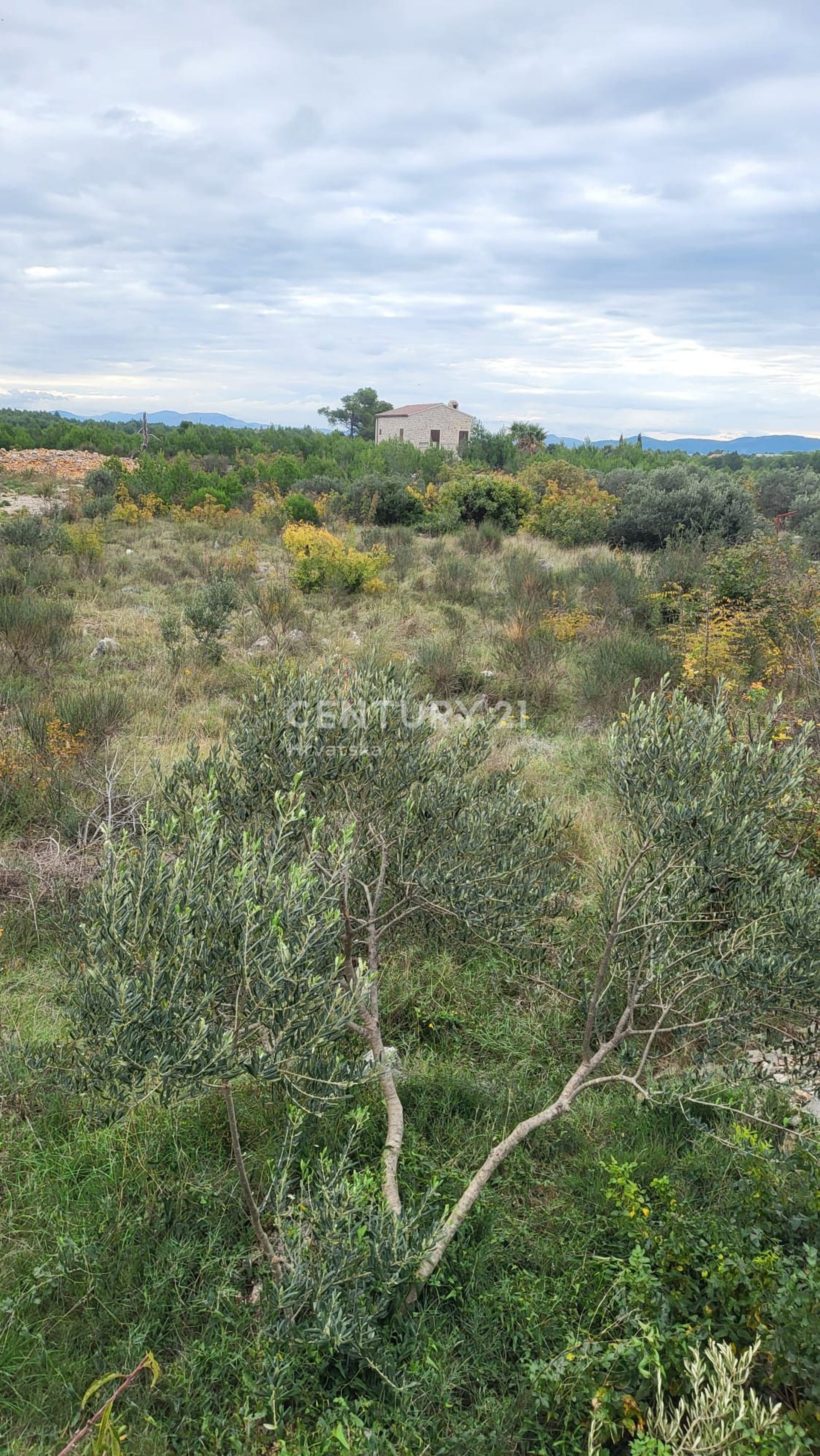 Jord i Vodice, Sibensko-Kninska Zupanija 12415333