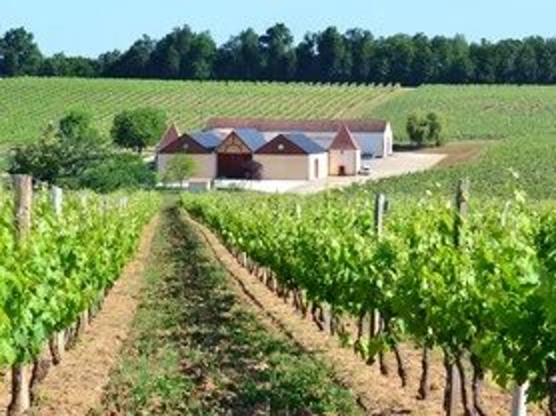 Casa nel Sainte-Foy-la-Grande, Nouvelle-Aquitaine 12417442