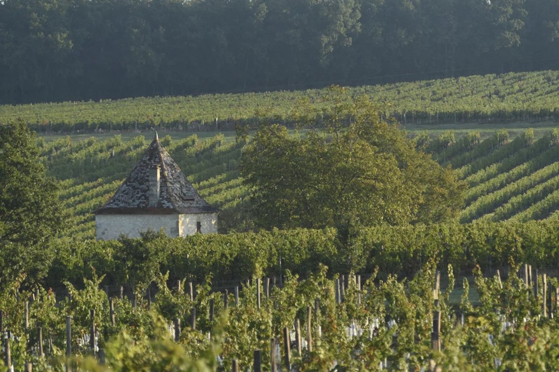 σπίτι σε Sainte-Foy-la-Grande, Gironde 12417442