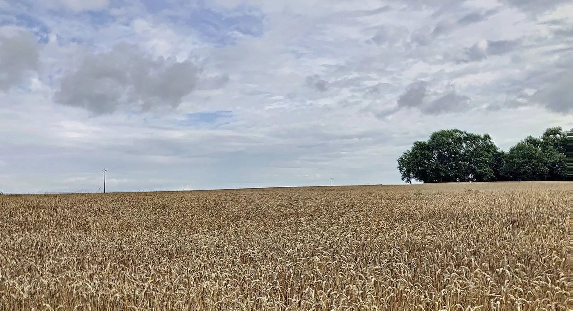 Otro en Saint-Méard-de-Gurçon, Dordogne 12417530