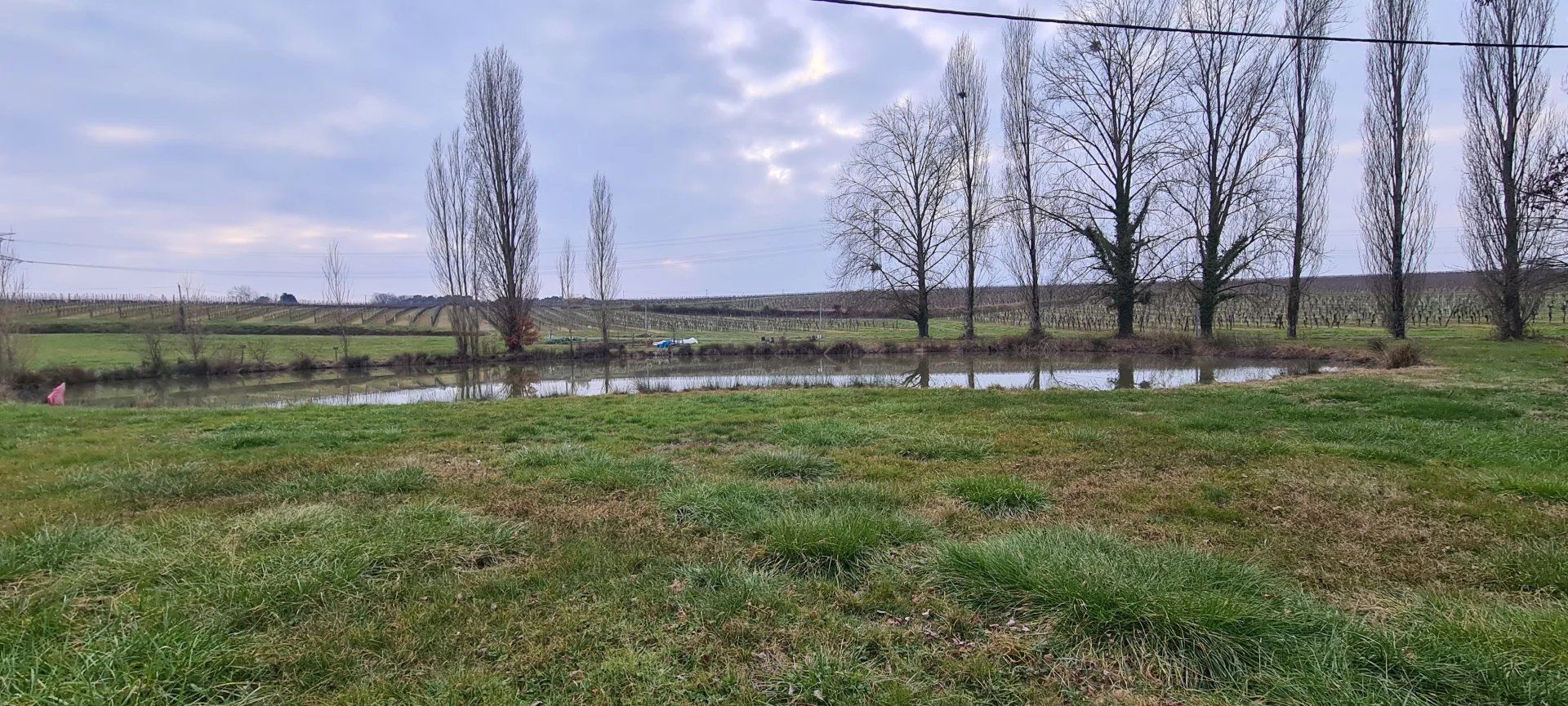 Huis in Les Lèves-et-Thoumeyragues, Gironde 12417557