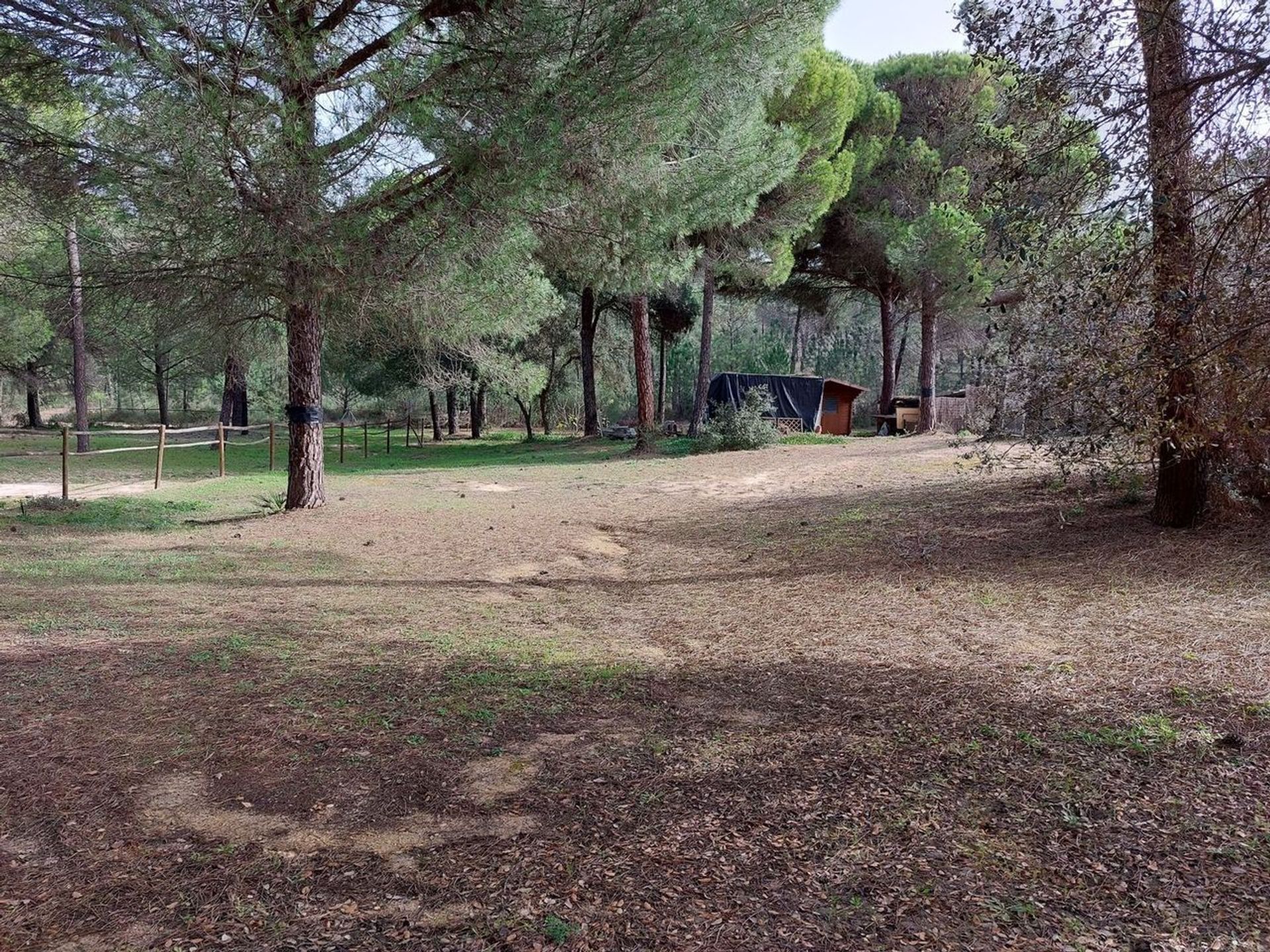 Casa nel Villablanca, Andalusia 12418202