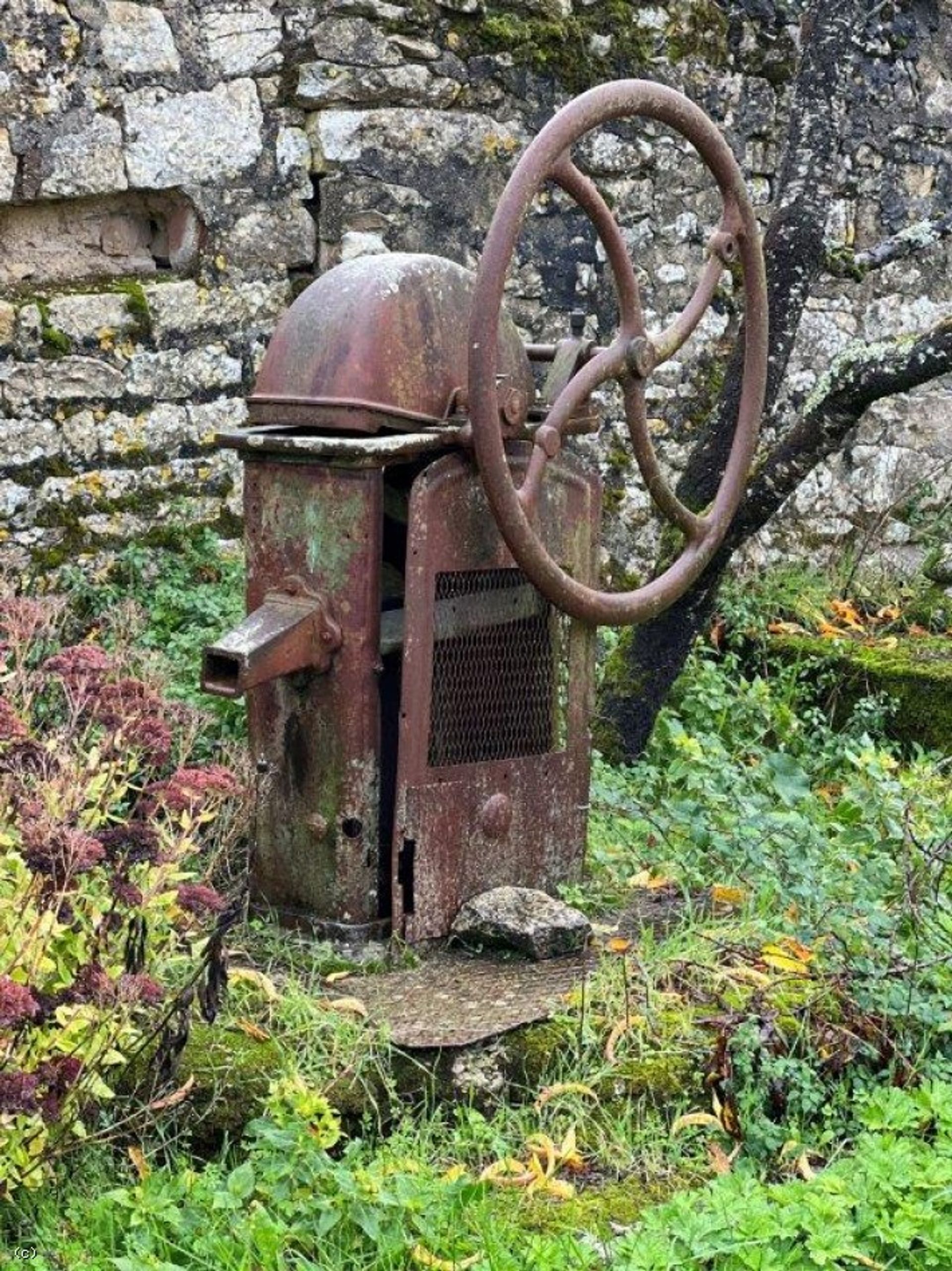 loger dans Villefagnan, Nouvelle-Aquitaine 12419227