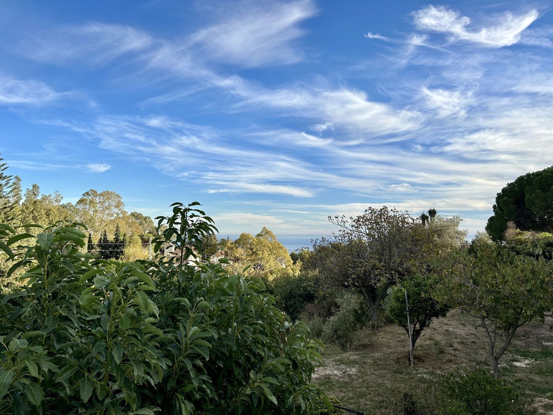 Jord i Mijas, Andalusien 12419505