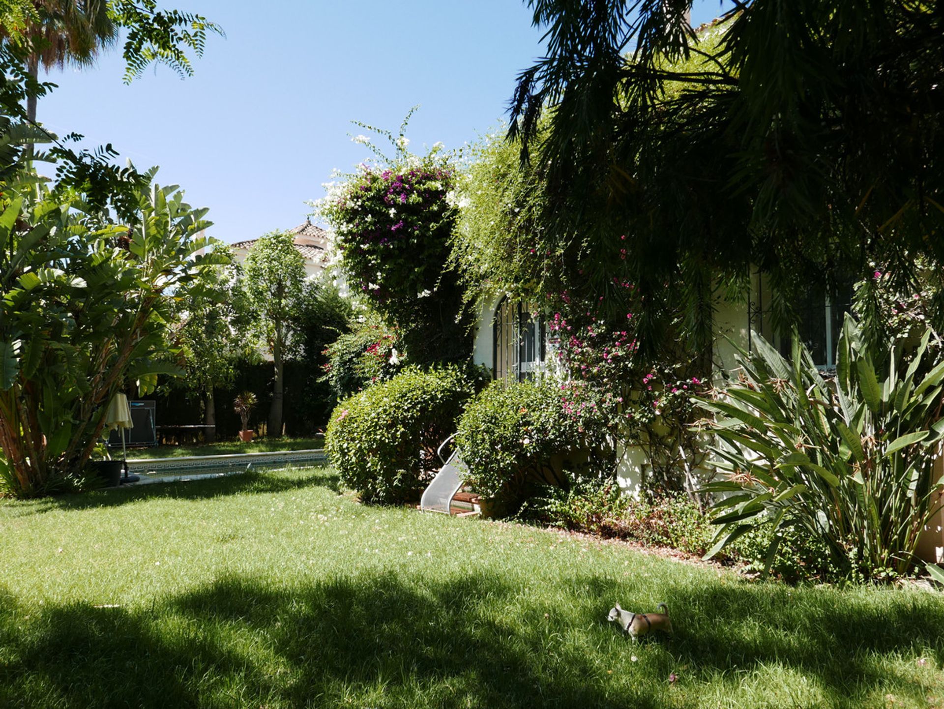 casa no Marbella, Andalucía 12419510