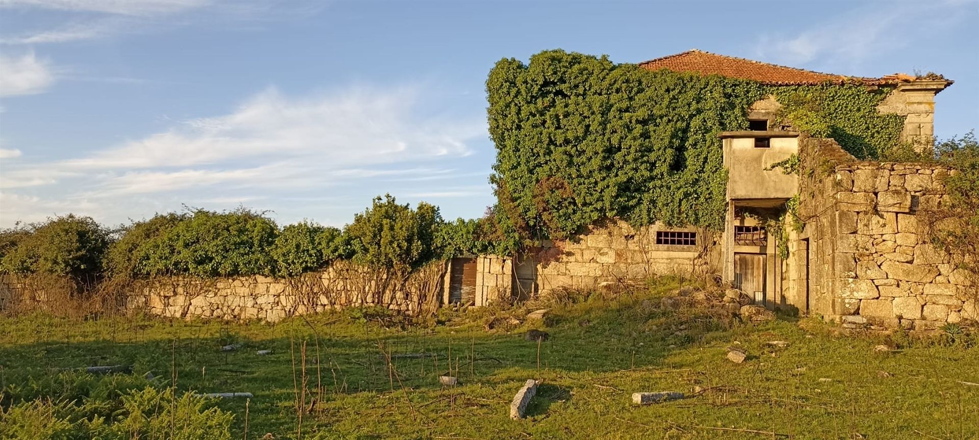 Casa nel Roriz, Porto 12419786