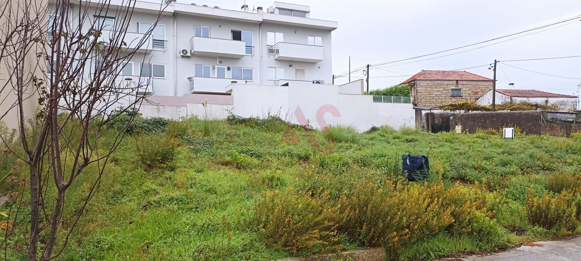 Terre dans Quintão, Porto 12419787