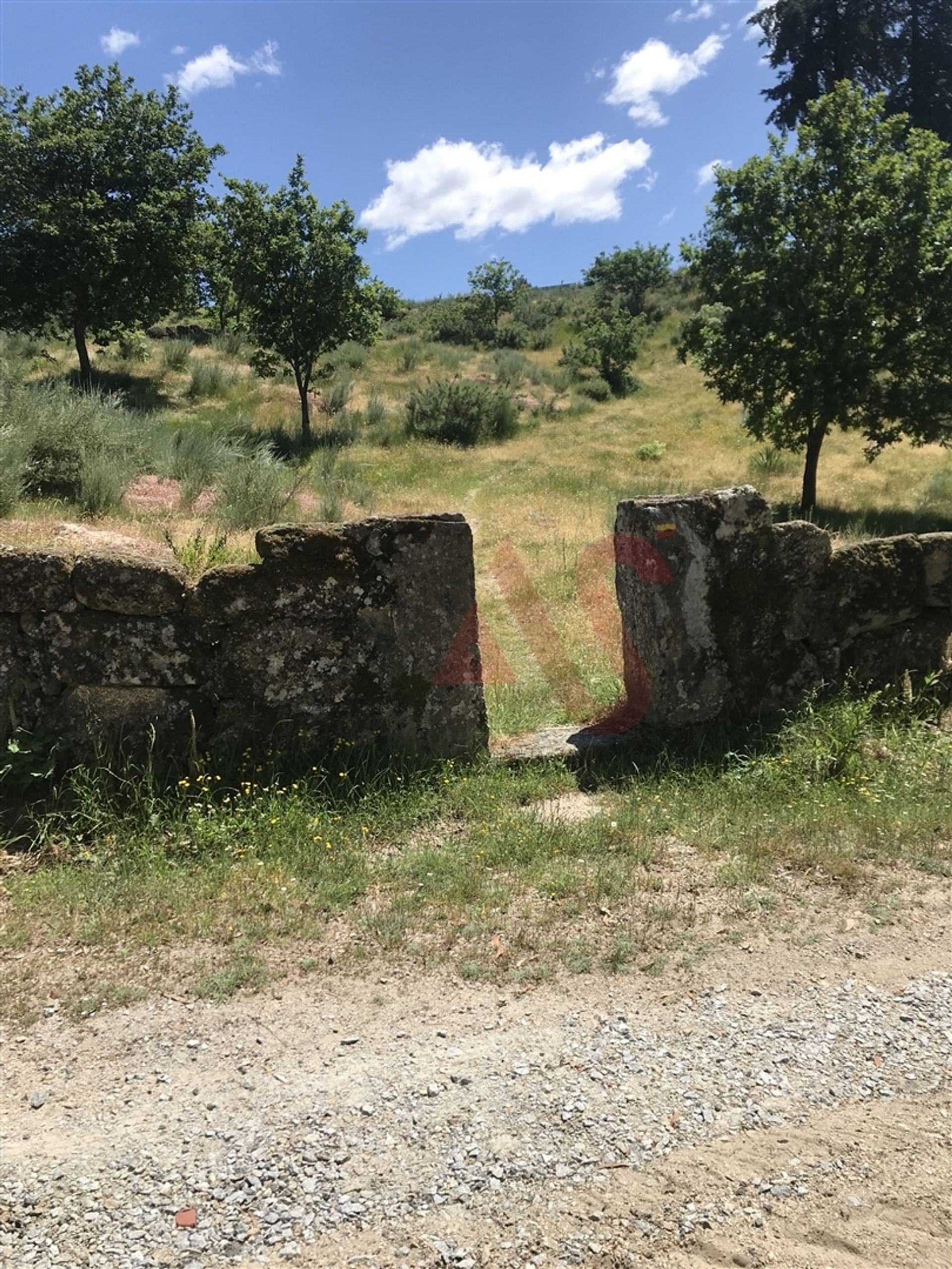 Land in Marco de Canavezes, Porto 12419791