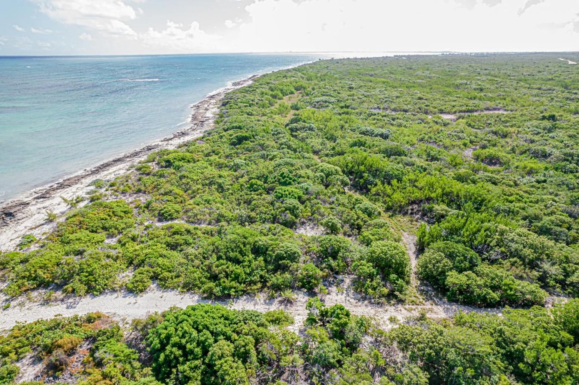 Land i , Caicos Islands 12420669