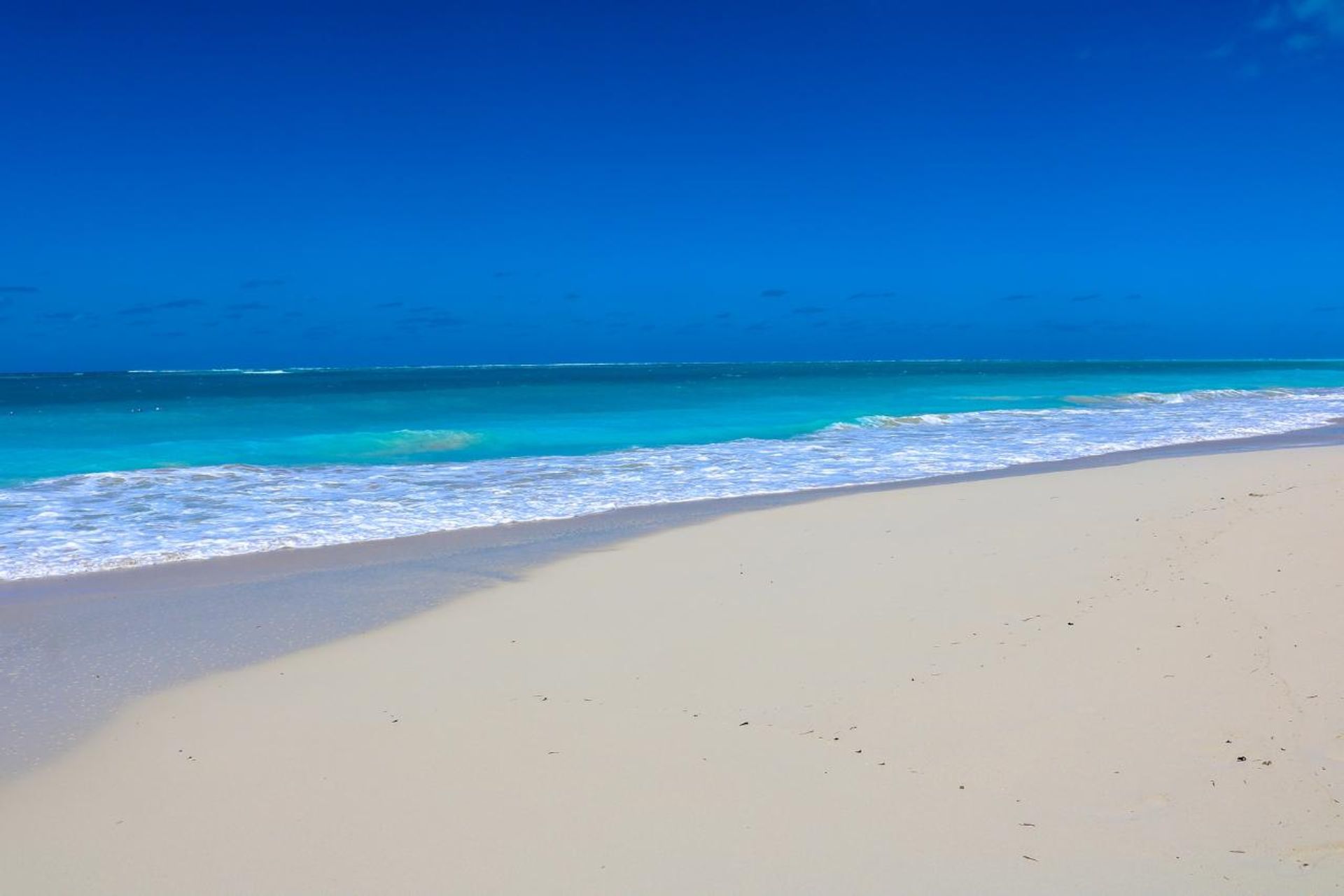 सम्मिलित में Grace Bay, Caicos Islands 12420718