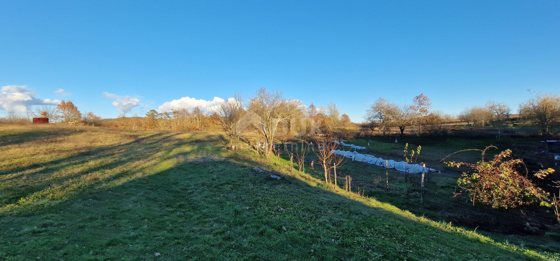 Huis in Zarečje, Pazin, Istria County 12421176