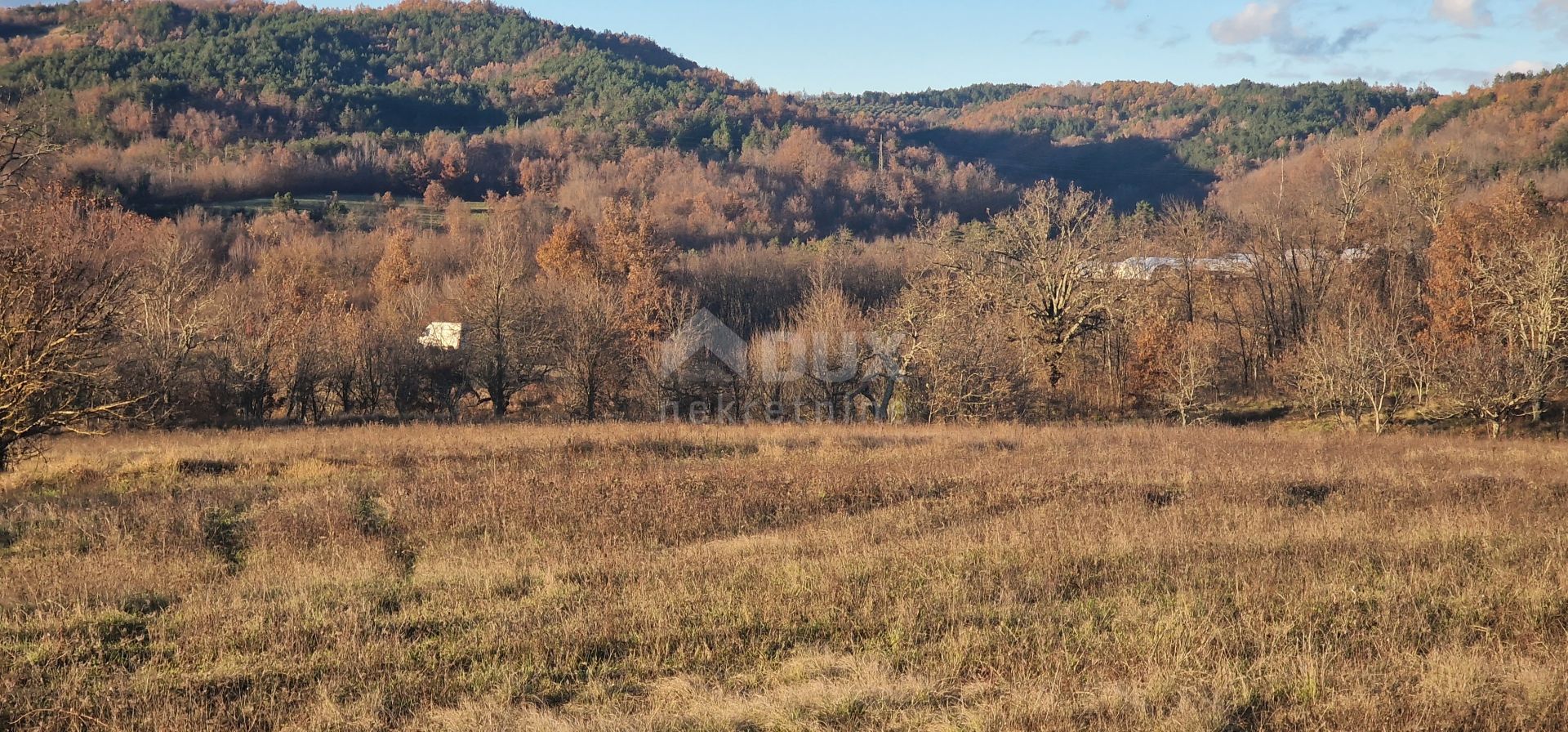 Land i Zarečje, Pazin, Istria County 12421177