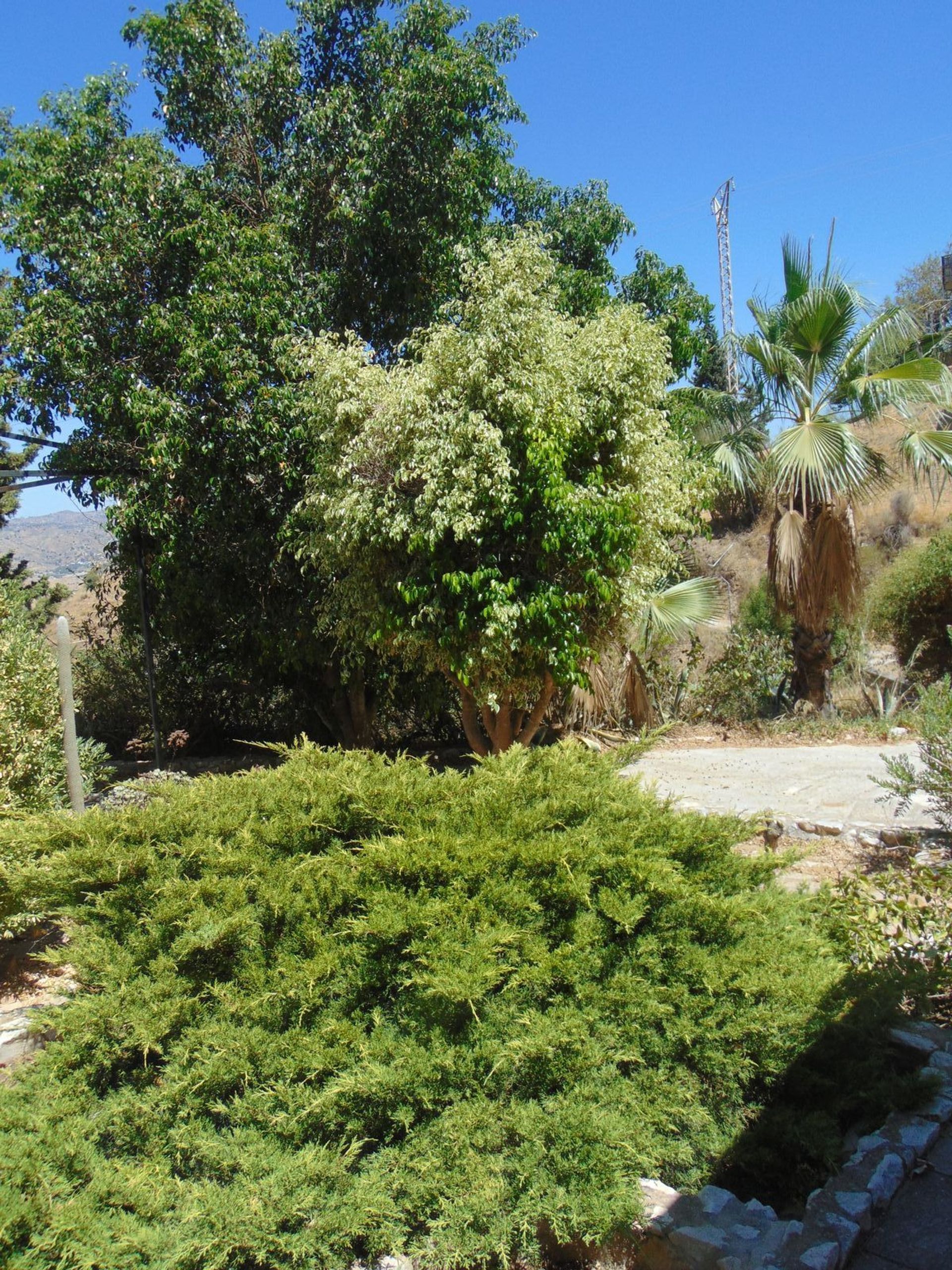 loger dans Cártama, Andalusia 12422204