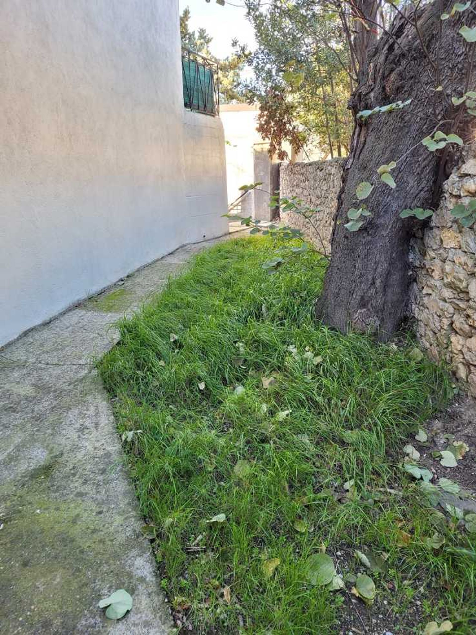 House in Magalas, Occitanie 12422556