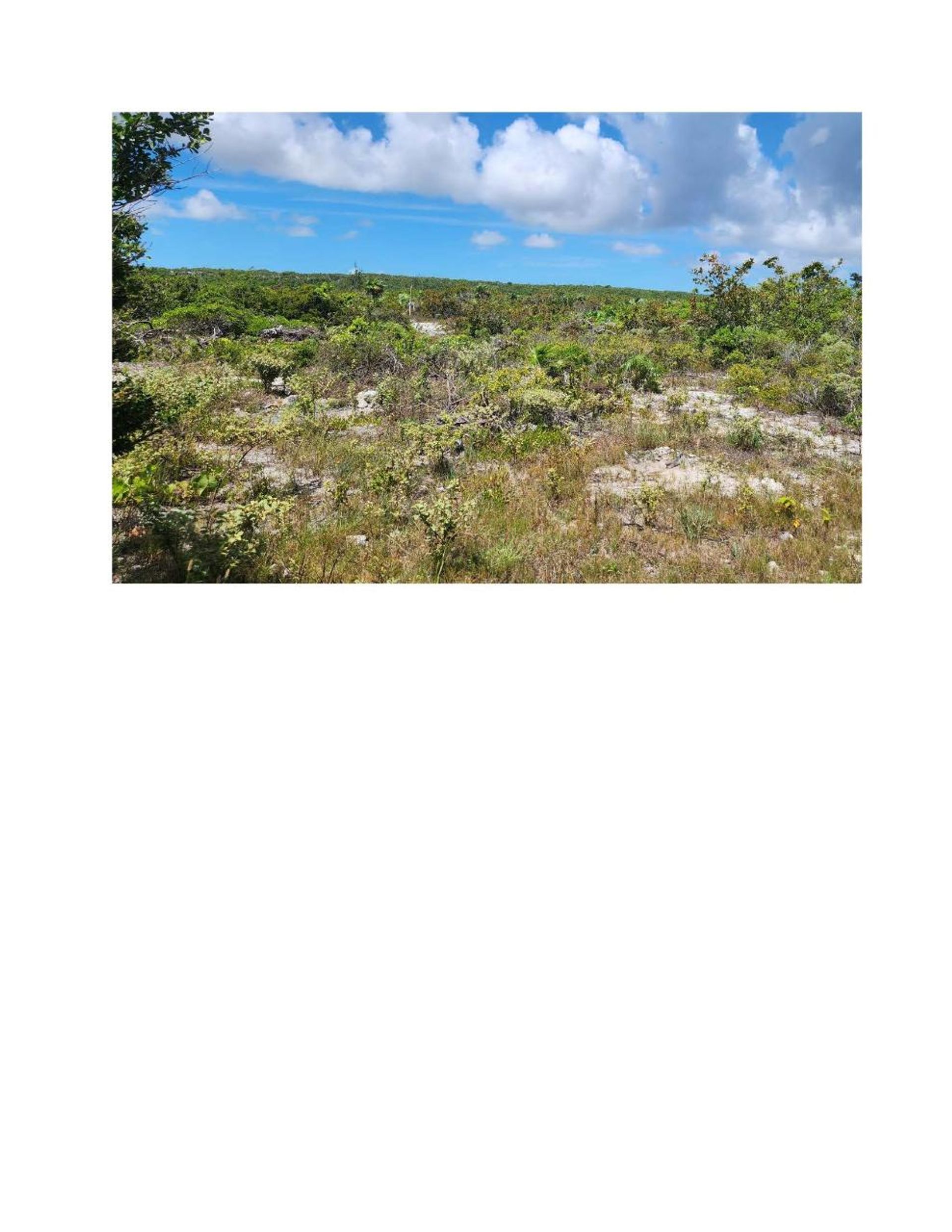 Land in , Caicos Islands 12422700