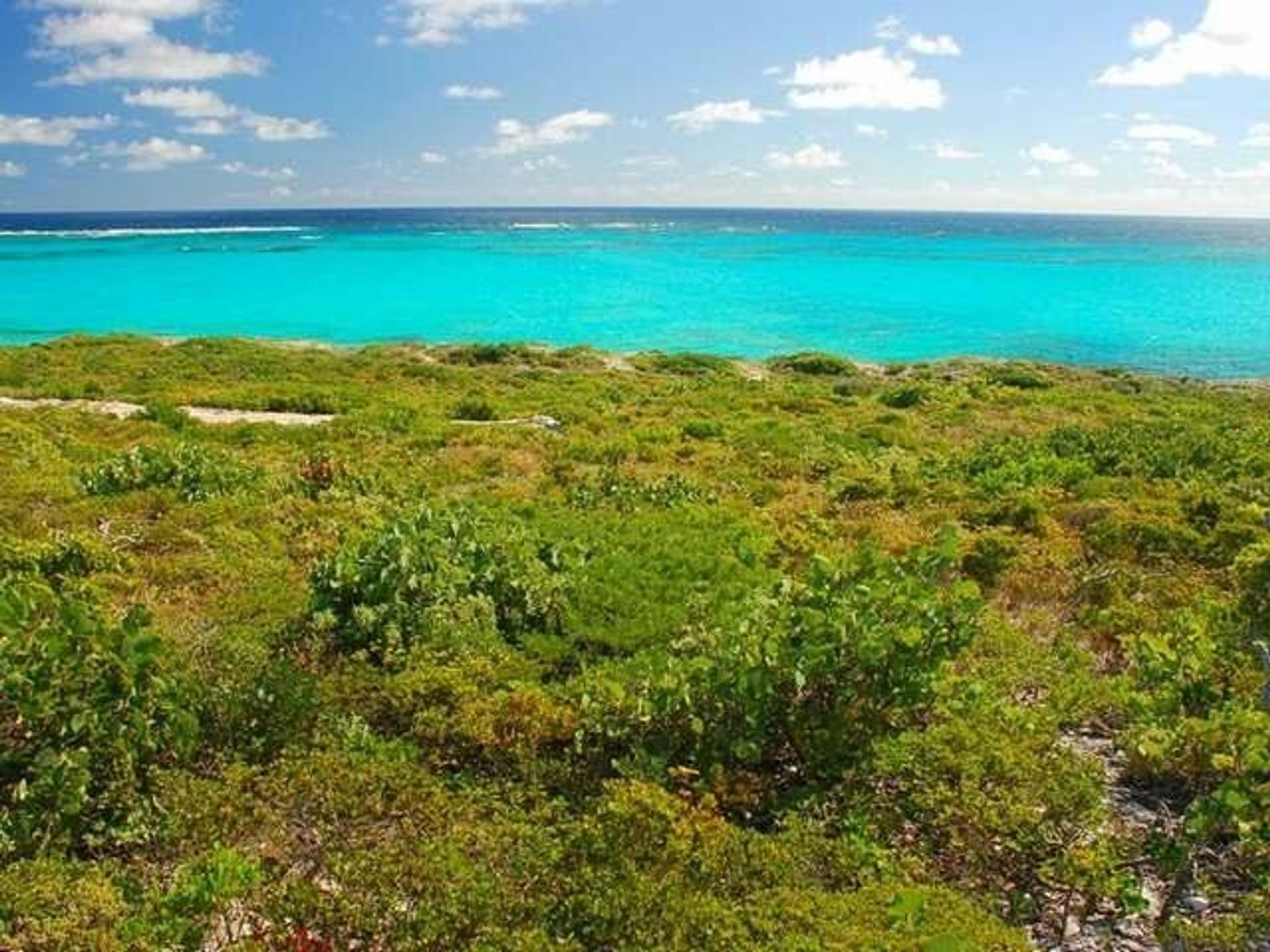 Земельные участки в , Caicos Islands 12422760