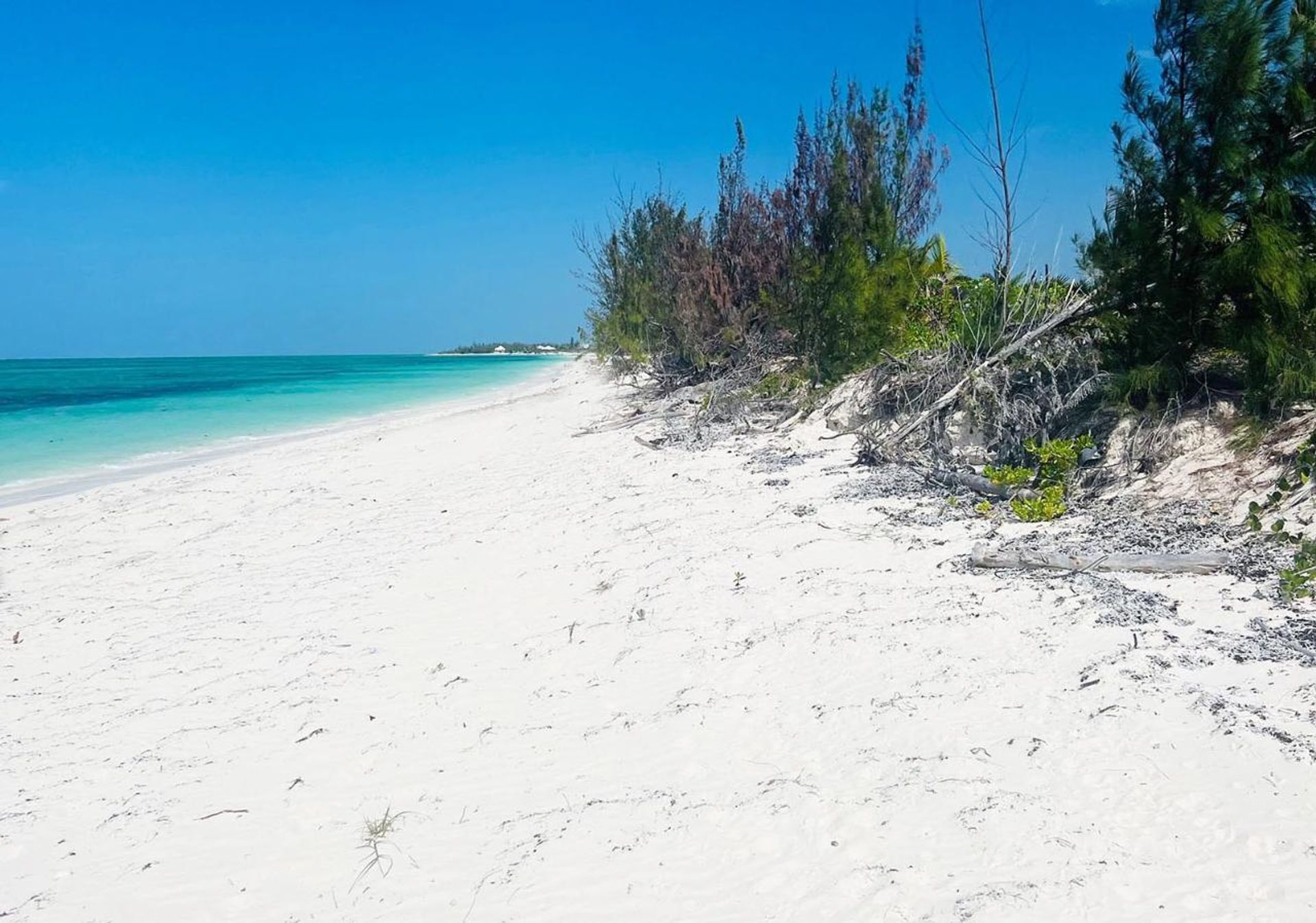 土地 在 , Caicos Islands 12422764