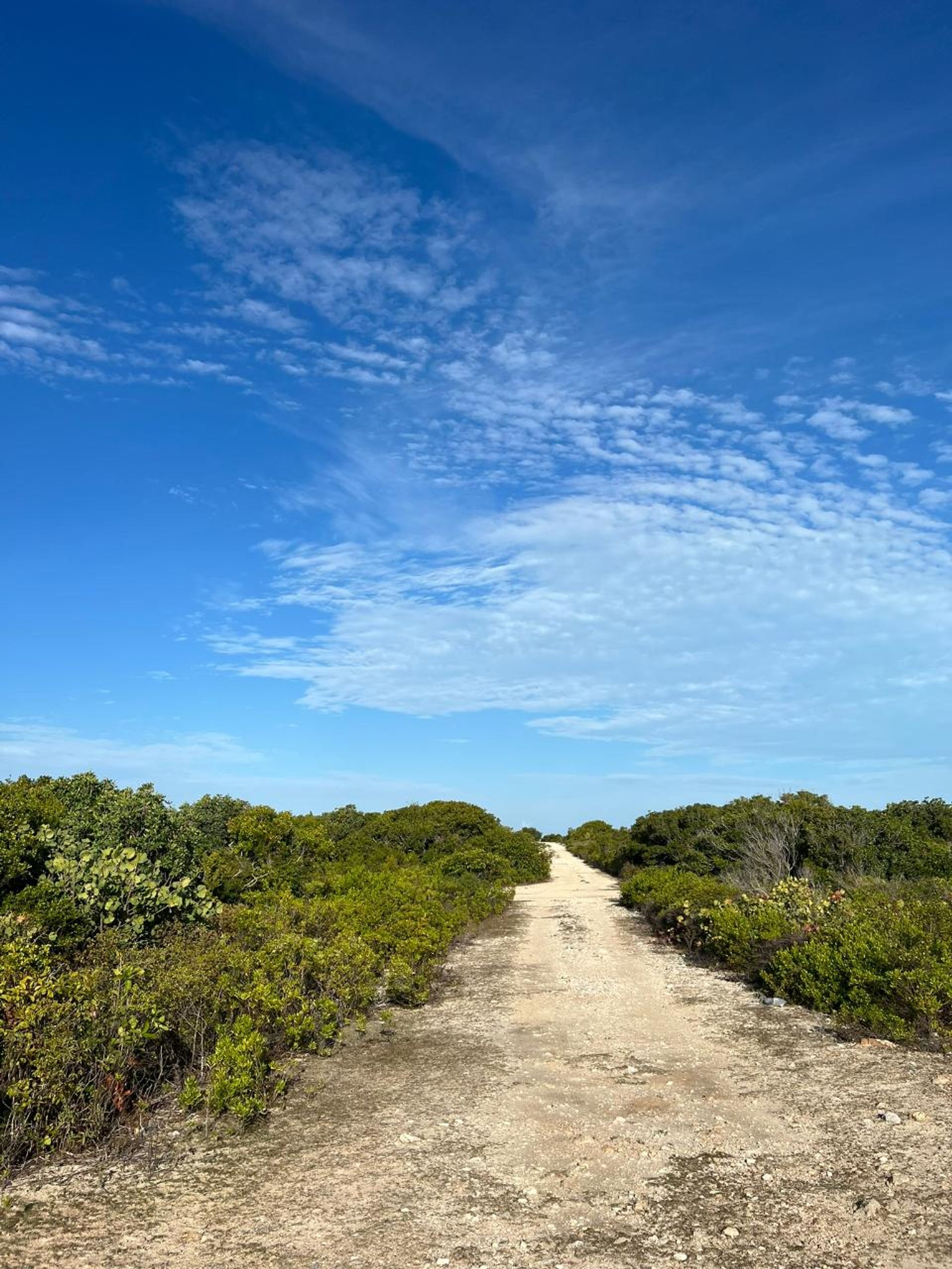 Wylądować w , Caicos Islands 12422851